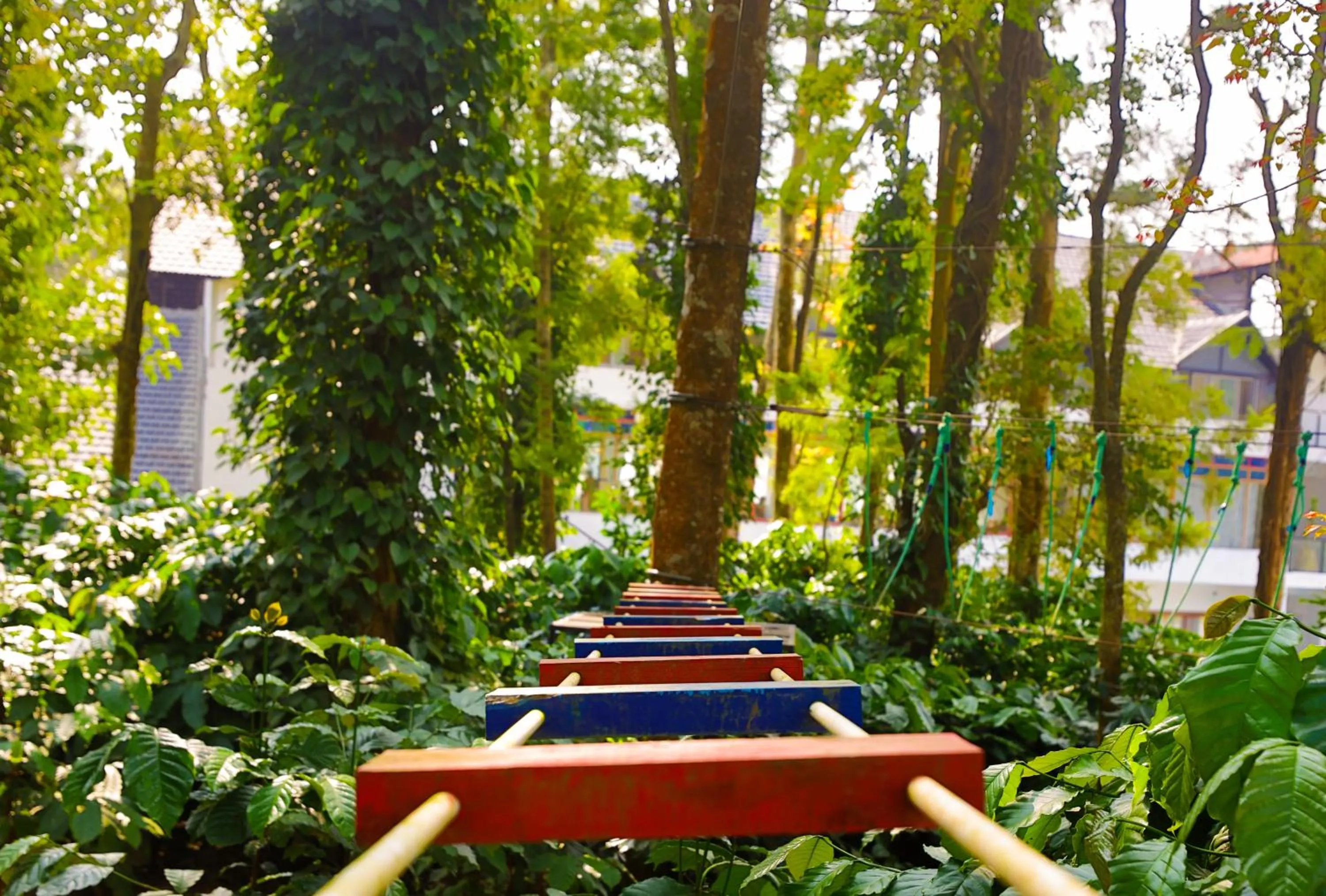 Activities in The Grand Retreat - Chikmagalur