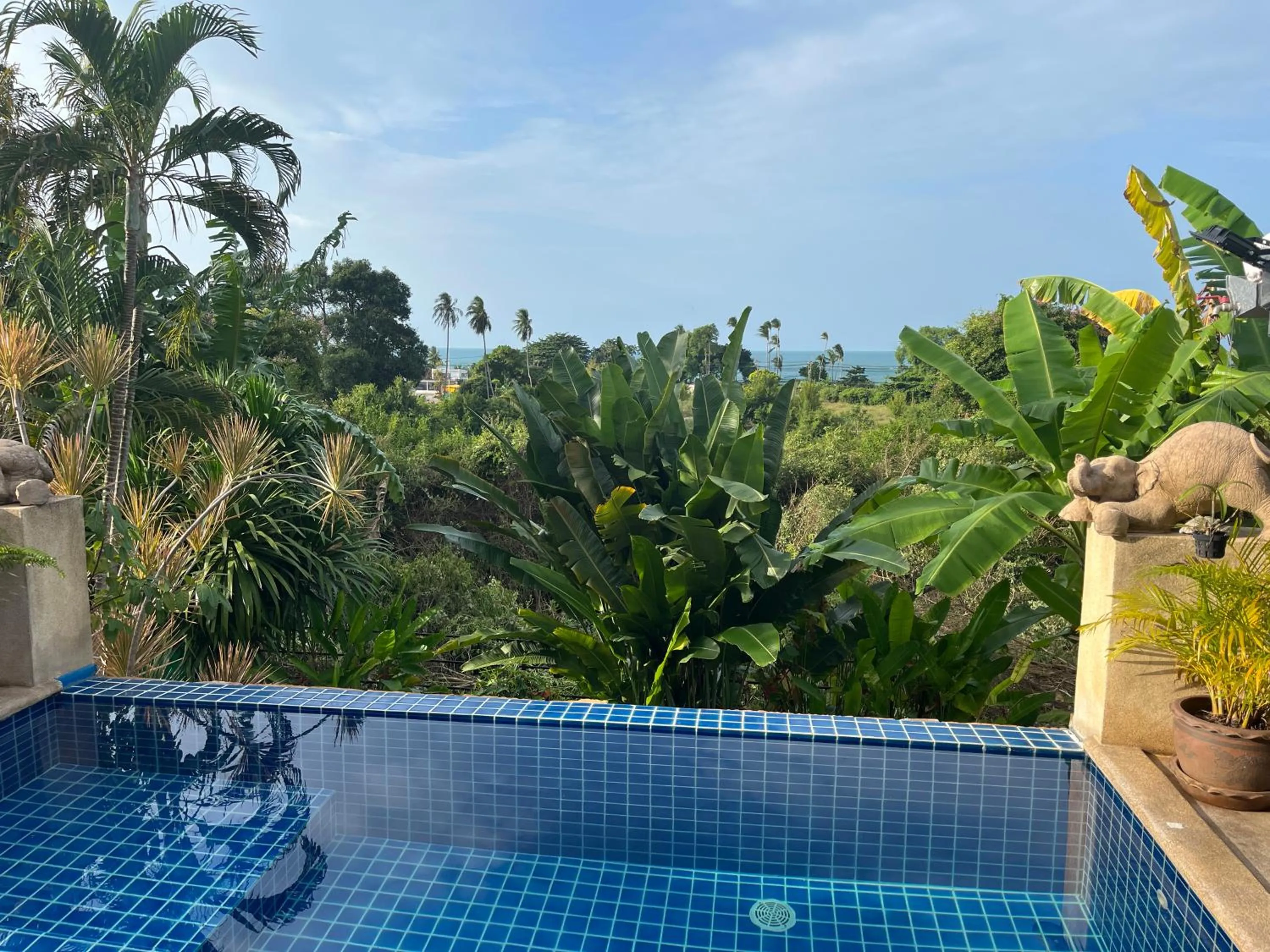 Swimming pool in Pink House