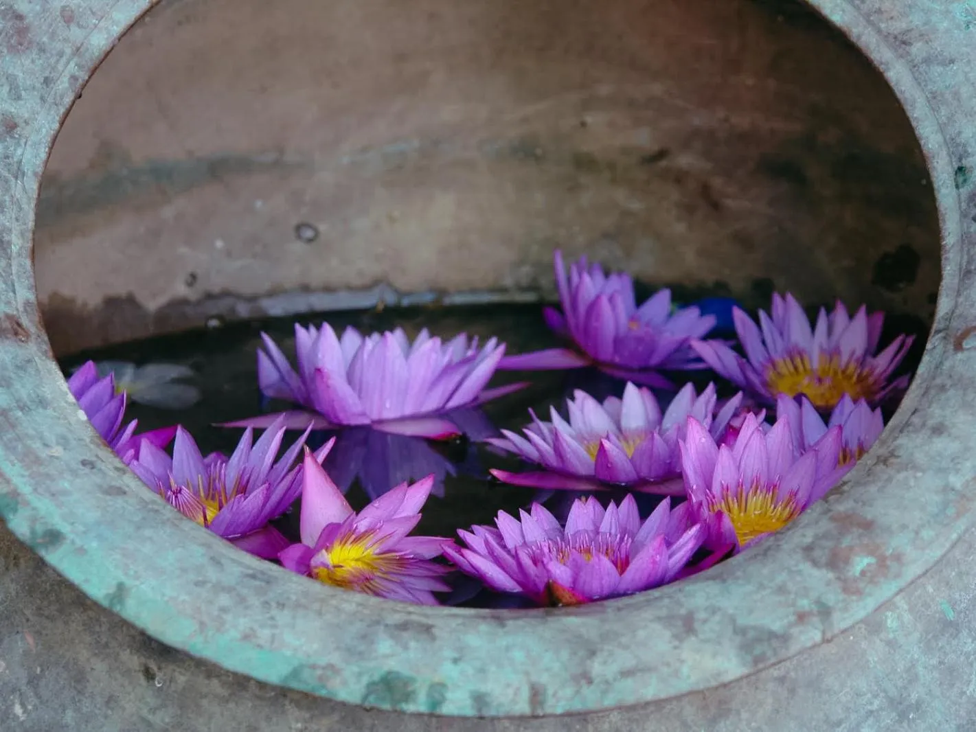 Property building in Galawatta Beach Resort