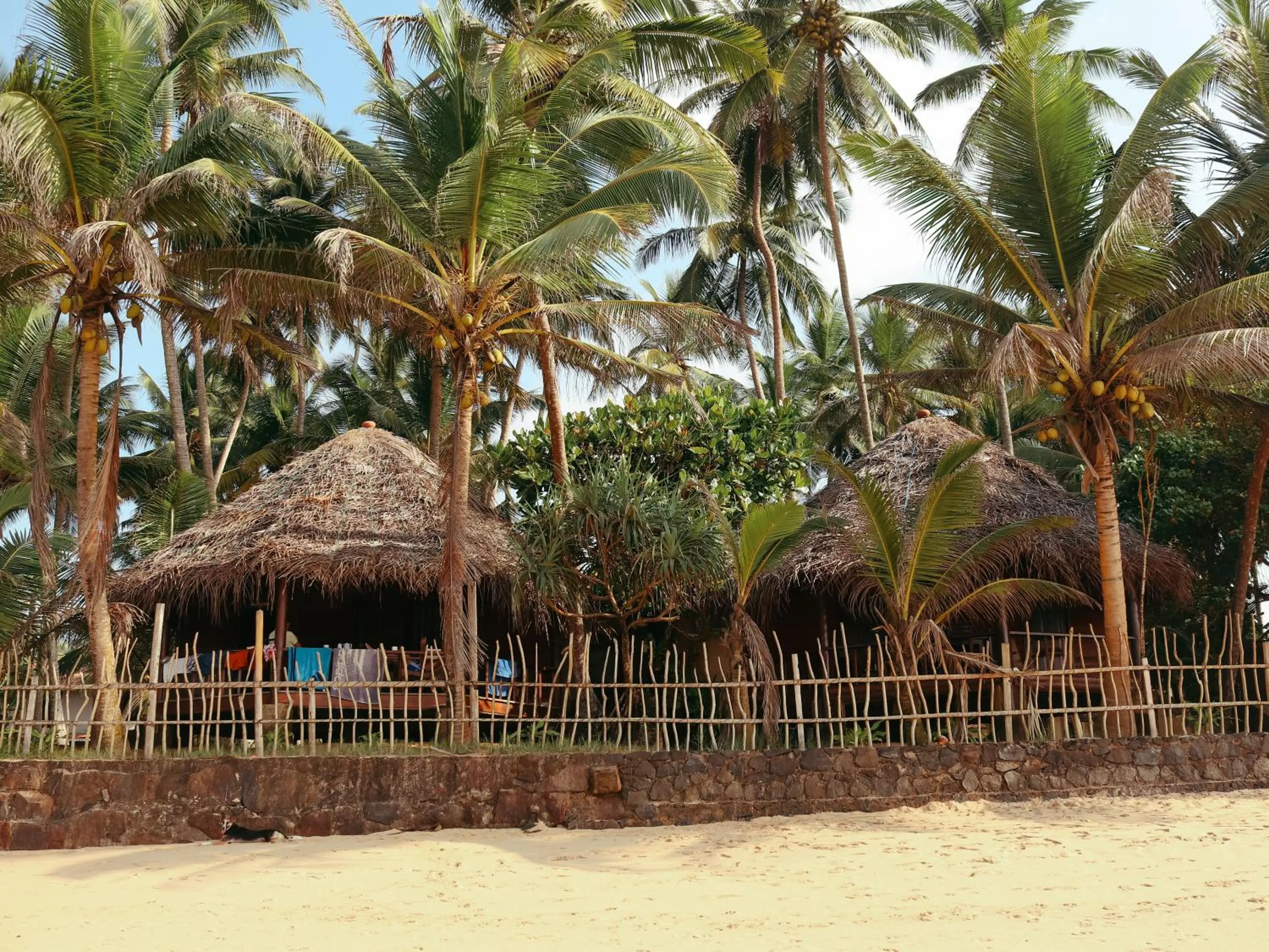 Garden in Galawatta Beach Resort