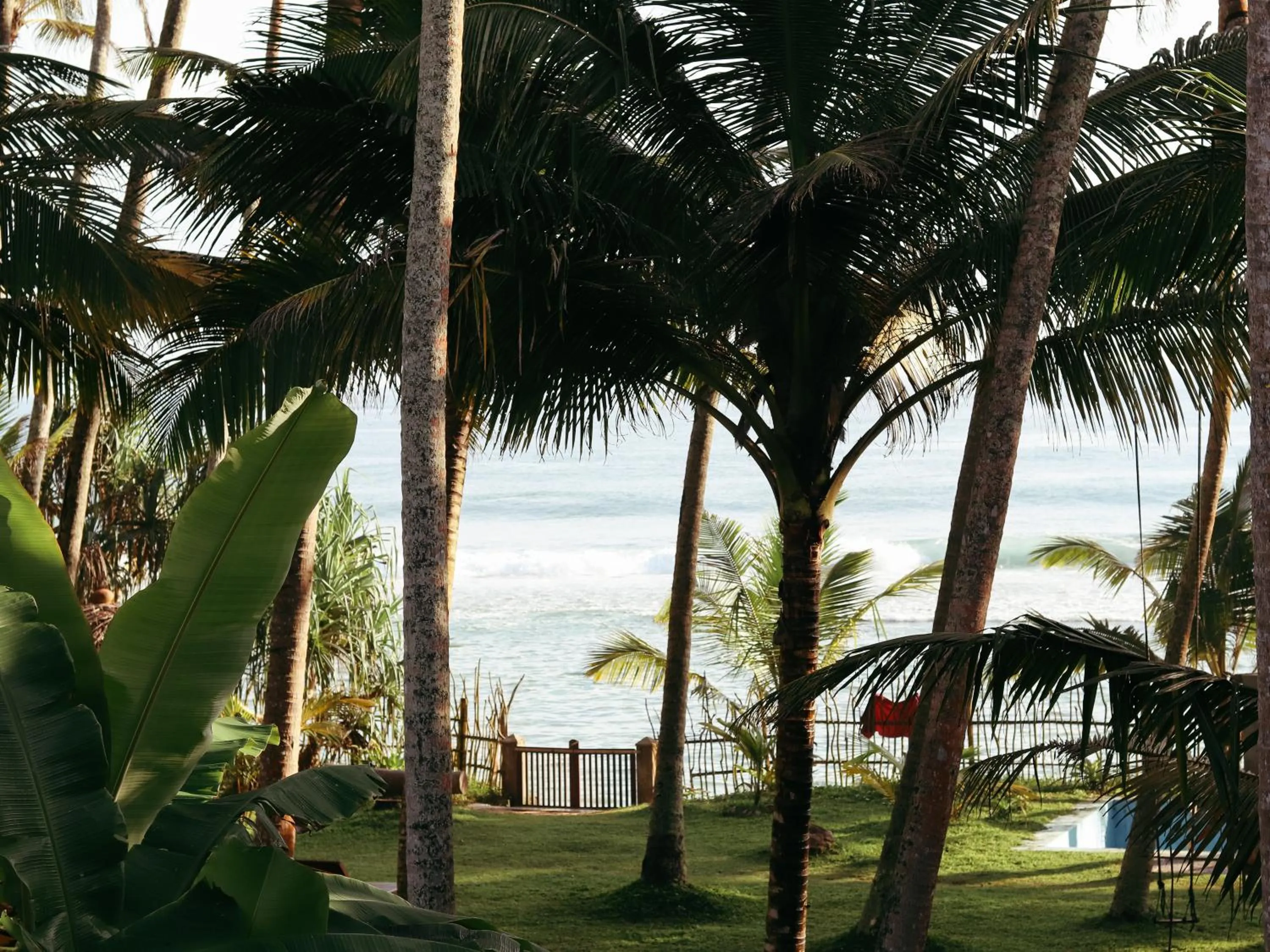Garden in Galawatta Beach Resort