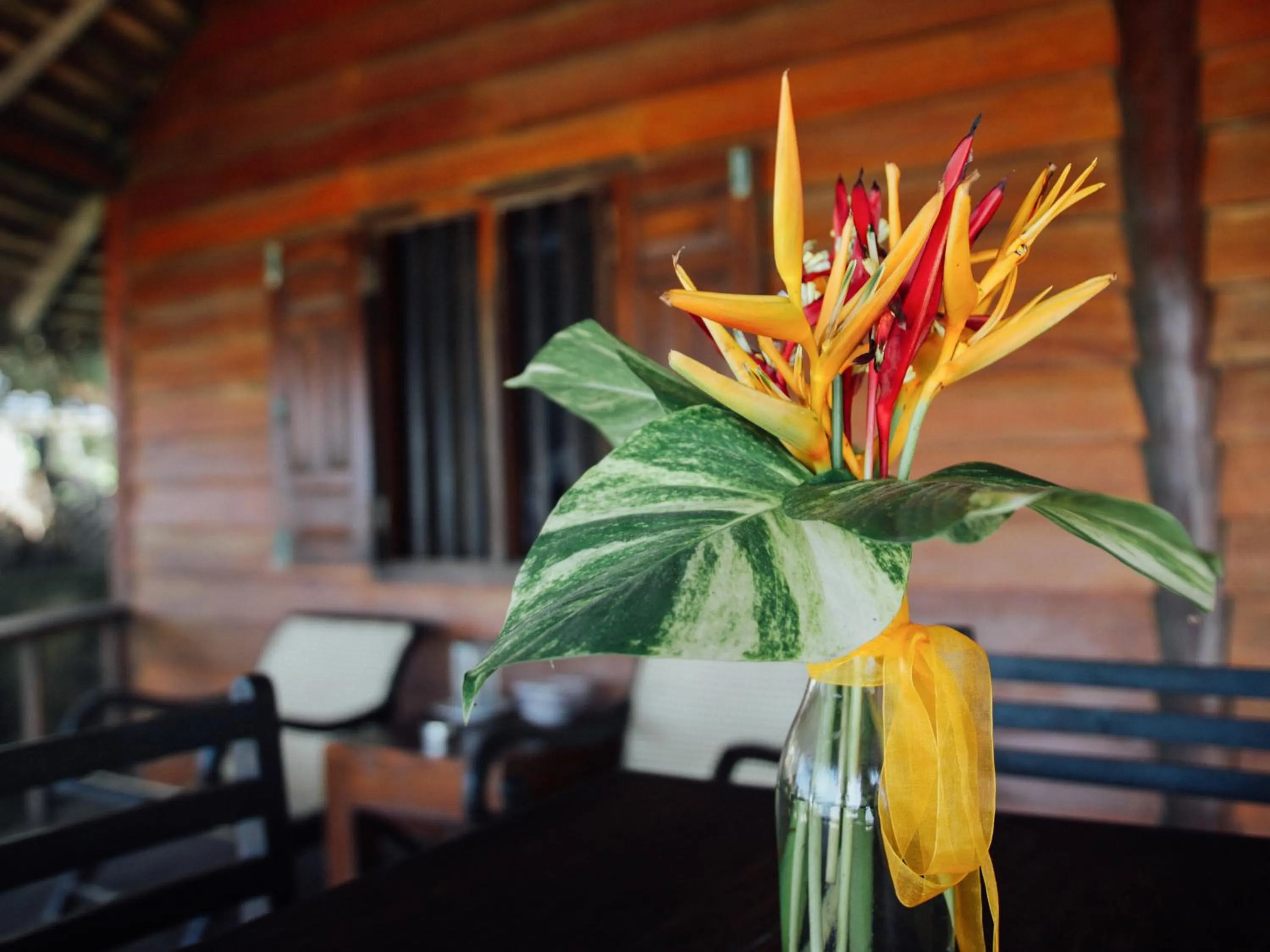 Property building in Galawatta Beach Resort