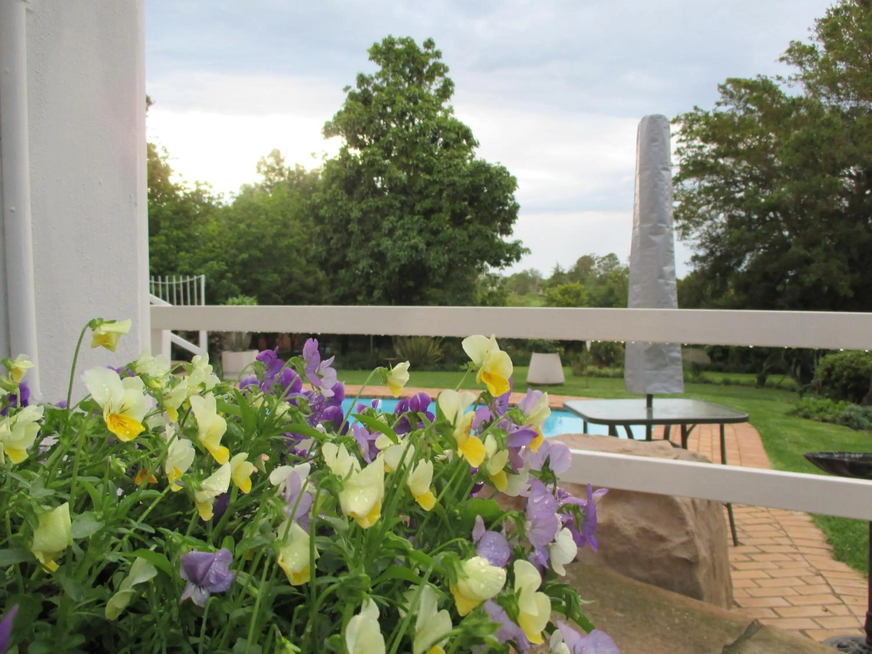 Garden in Meander In