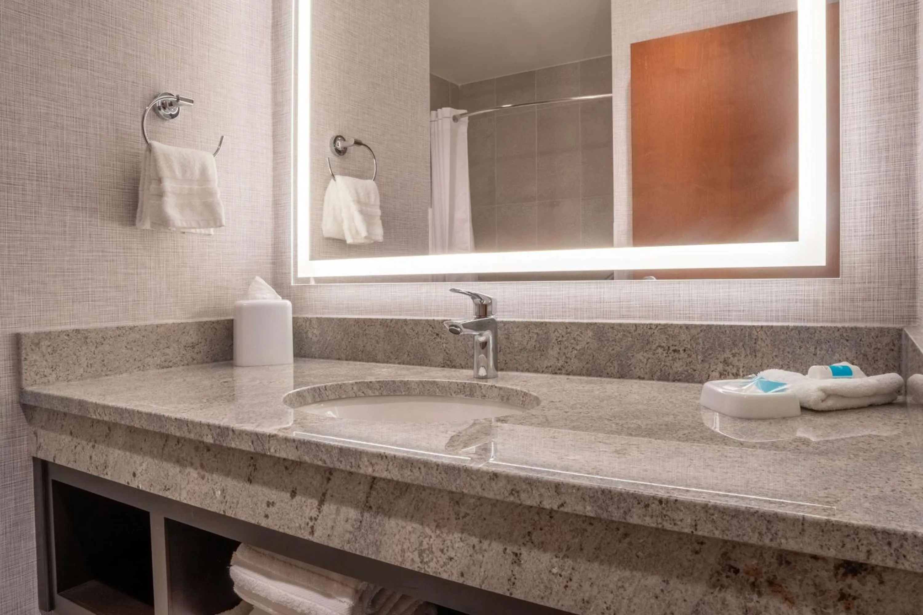 Bathroom in Drury Plaza Hotel College Station