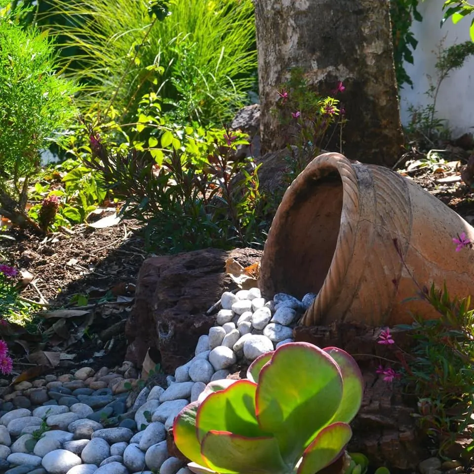 Garden in Pemabwe Guest Lodge