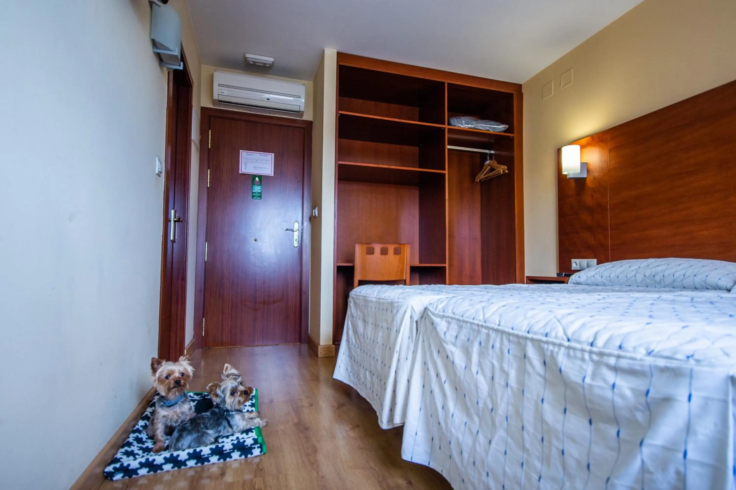 Animals, Bed in Pension Viella Asturias