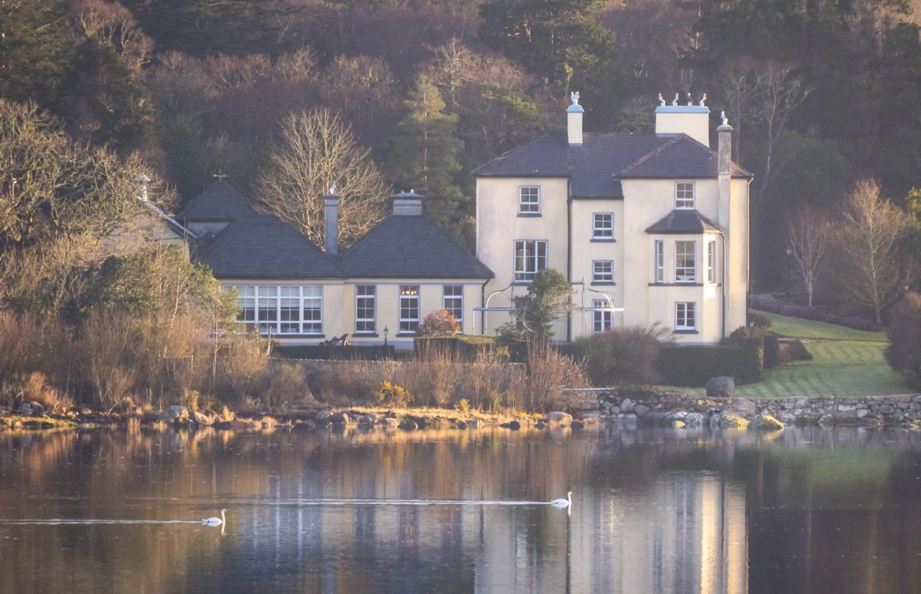 Property building in Screebe House