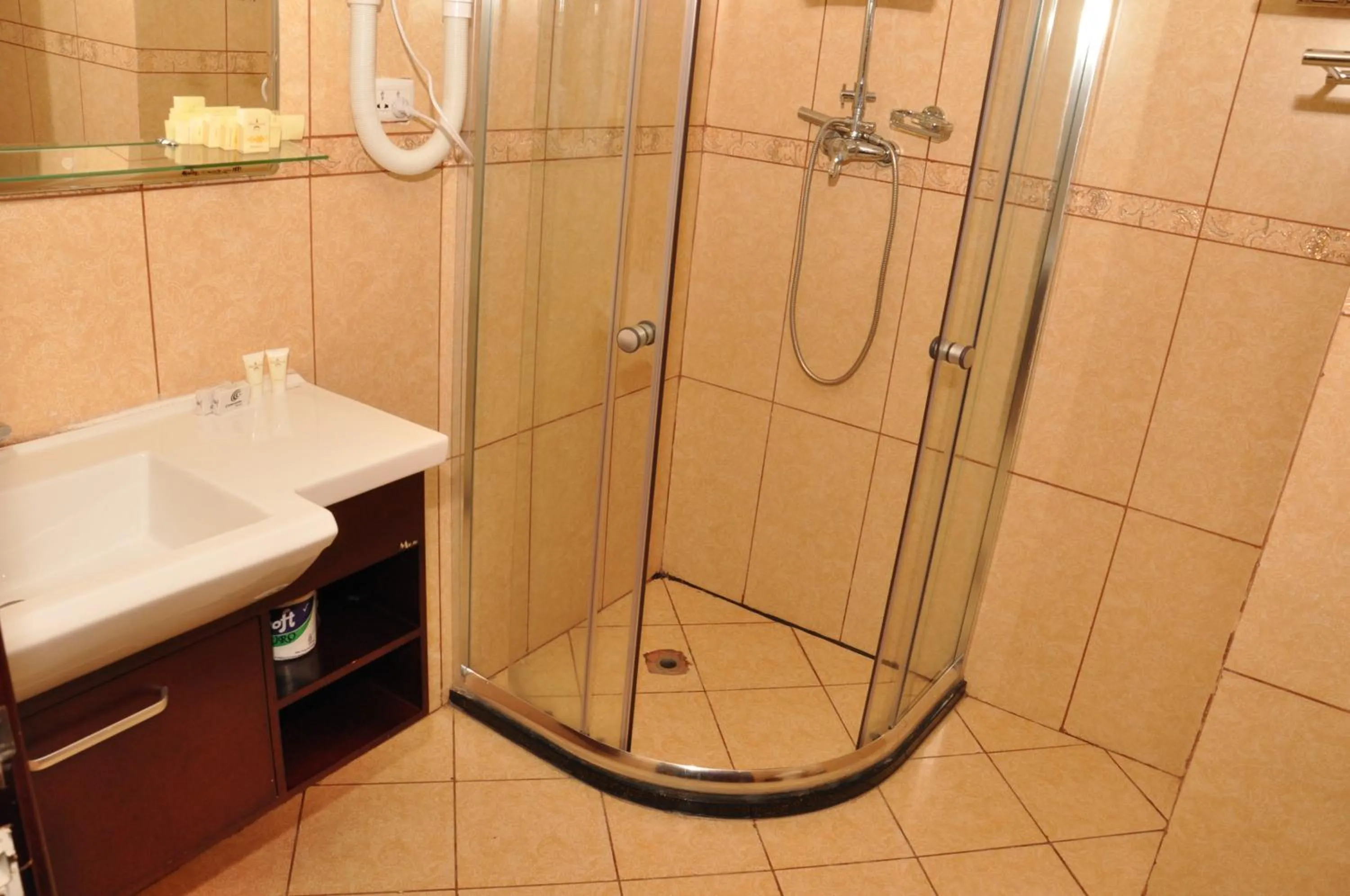 Bathroom in Ambassador Hotel