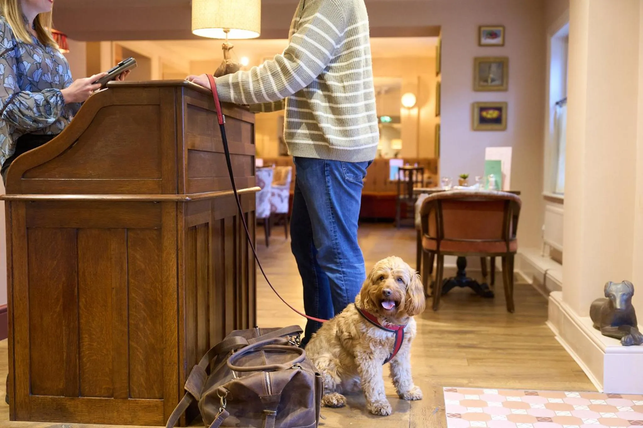 Pets in The White Horse - A Heartwood Inn