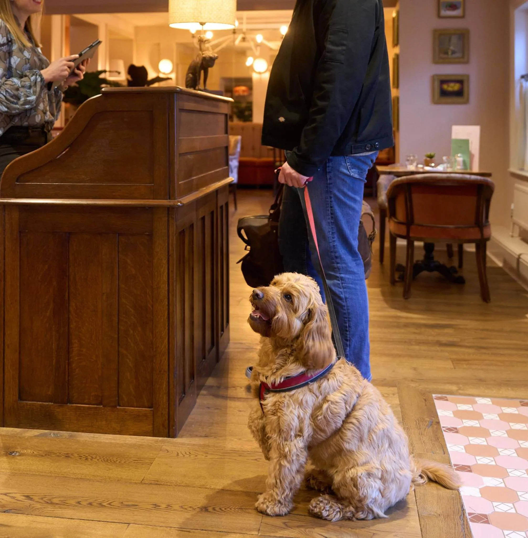 Pets in The White Horse - A Heartwood Inn