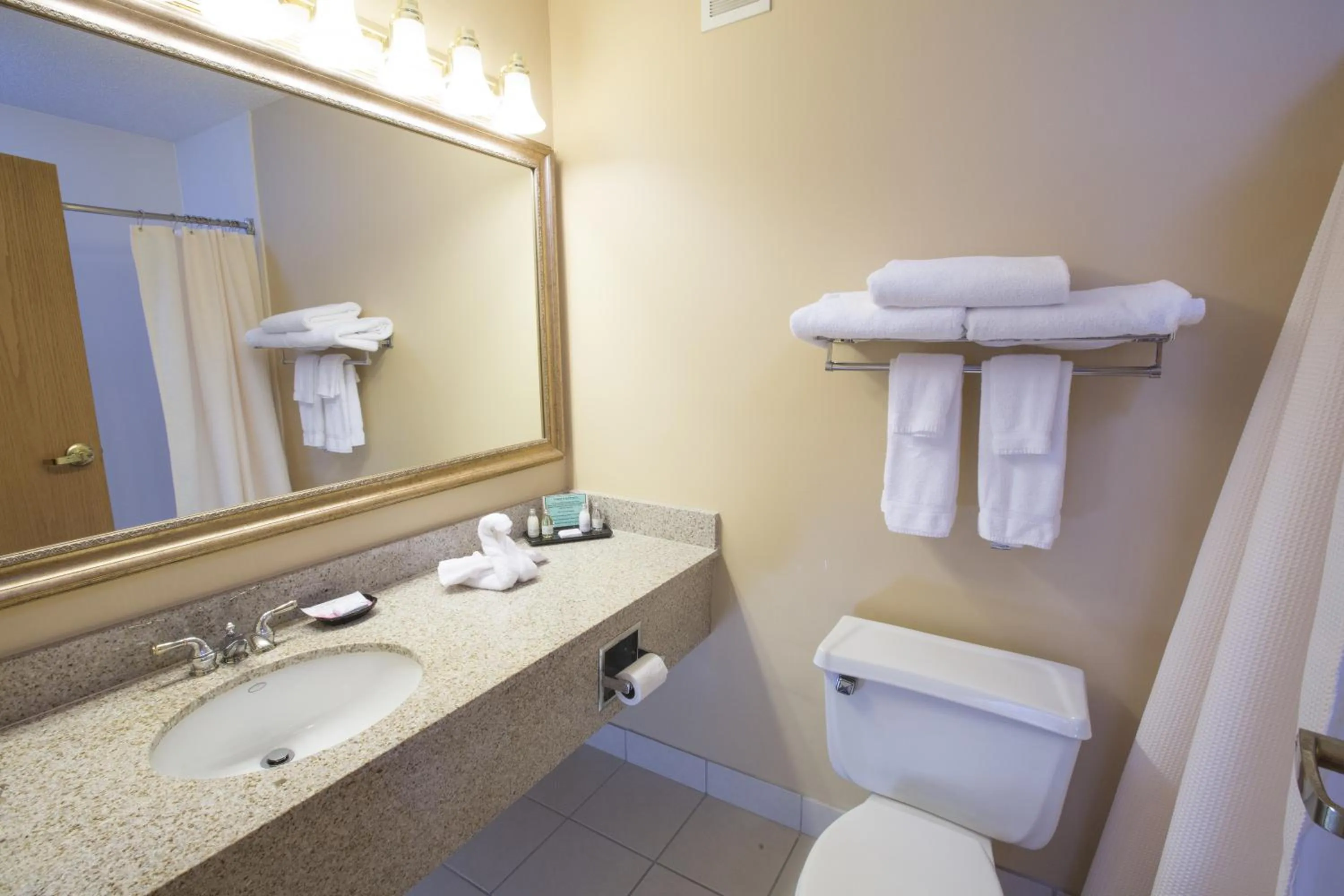 Bathroom in Swan Lake Resort