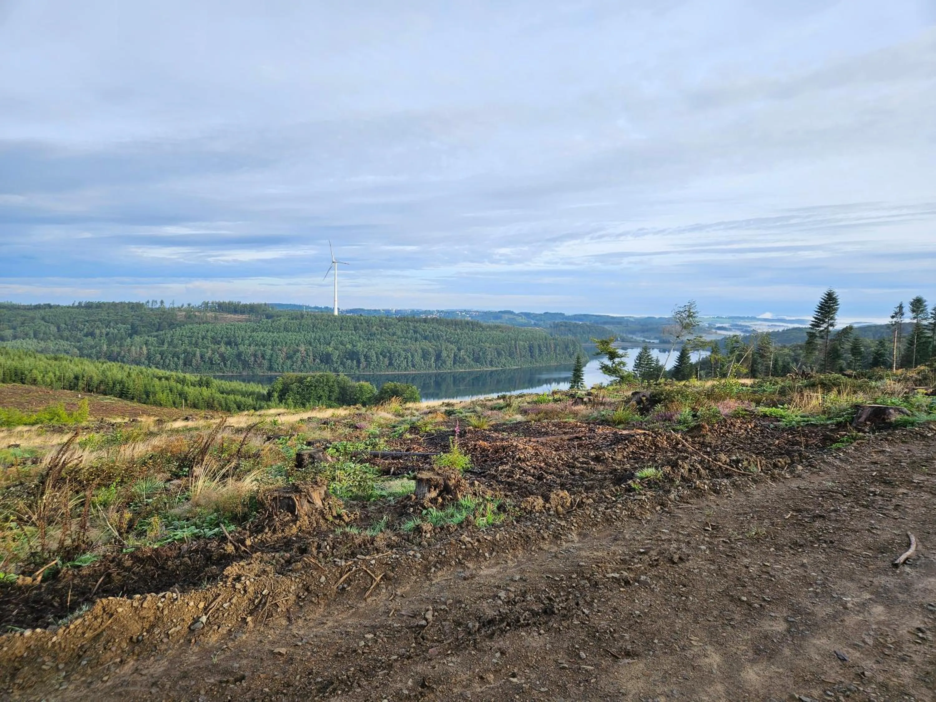 Nearby landmark in Übernachten im Café Restaurant Vedder