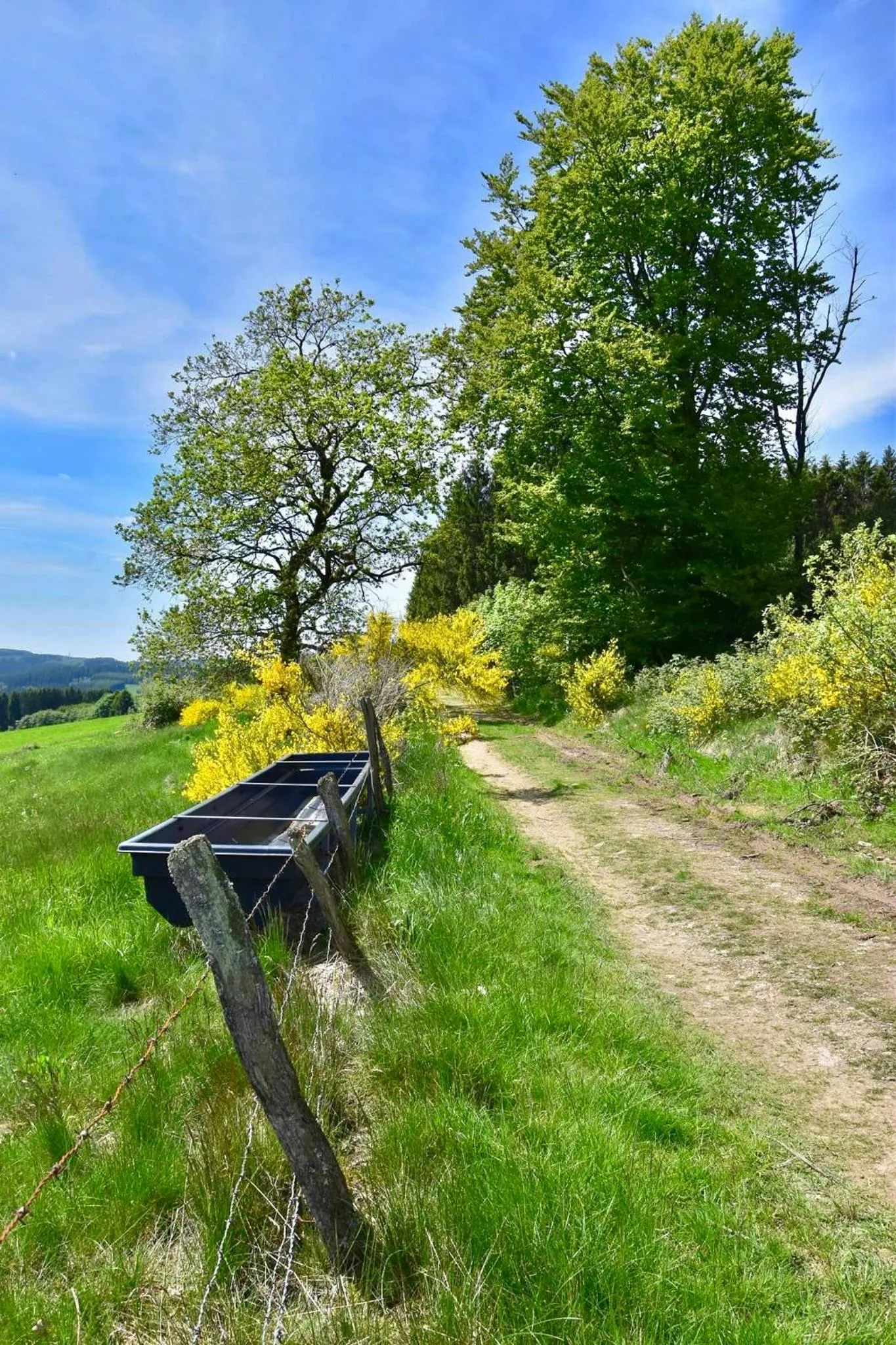 Natural landscape in Übernachten im Café Restaurant Vedder