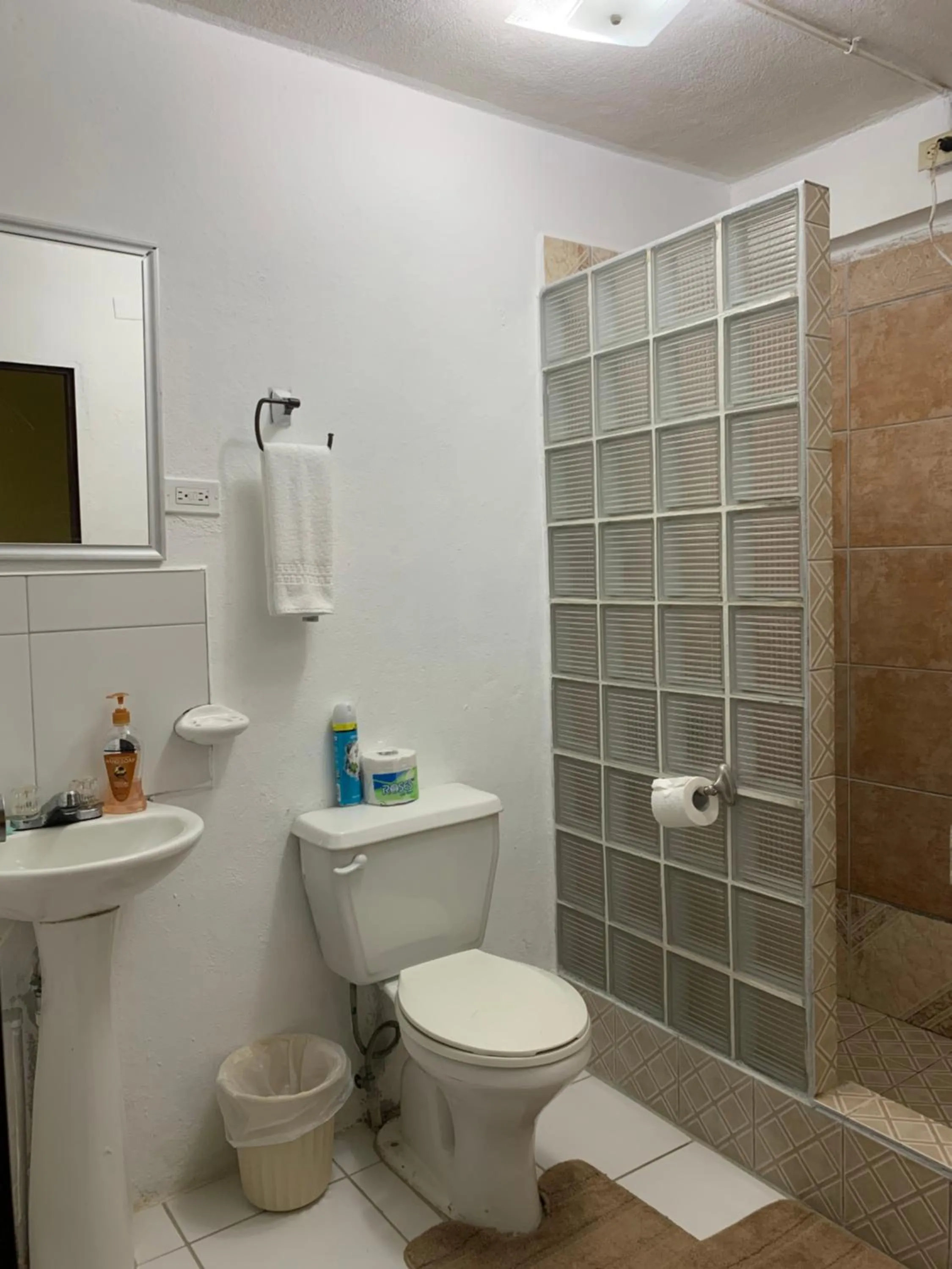 Shower in Bonefish Hotel