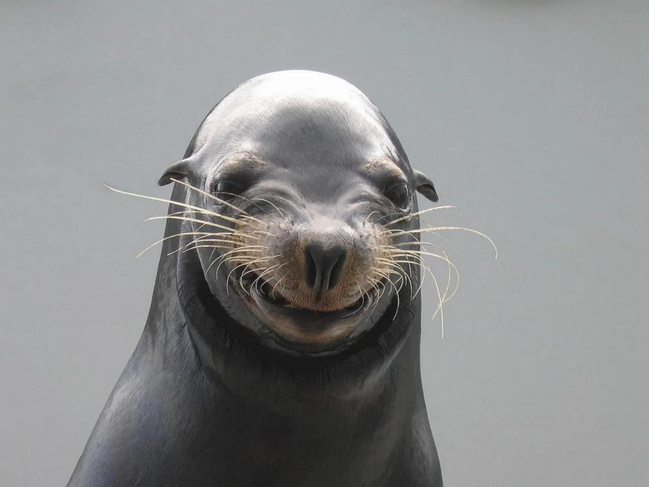 Other in Kamogawa Sea World Hotel