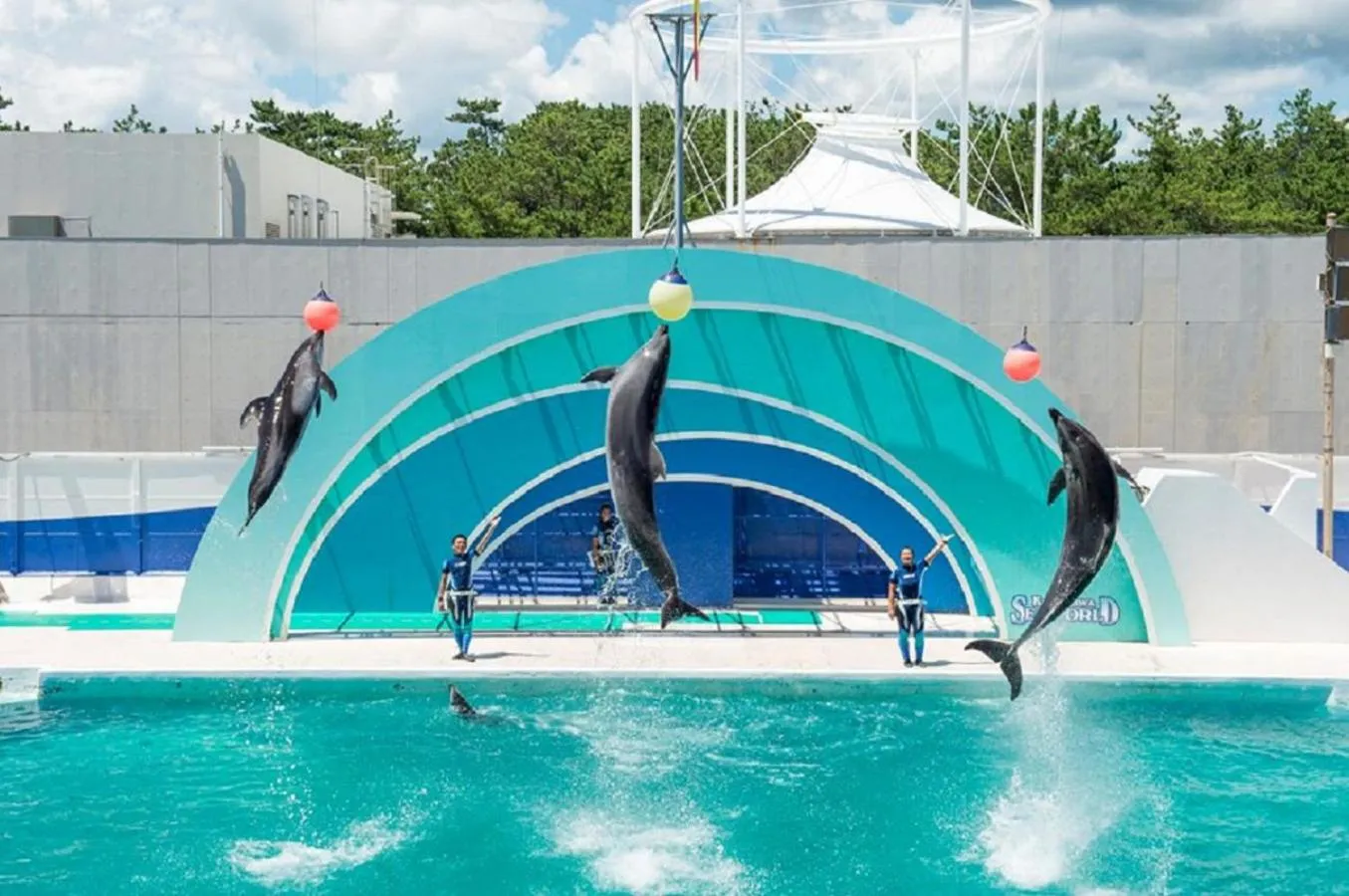 Other in Kamogawa Sea World Hotel