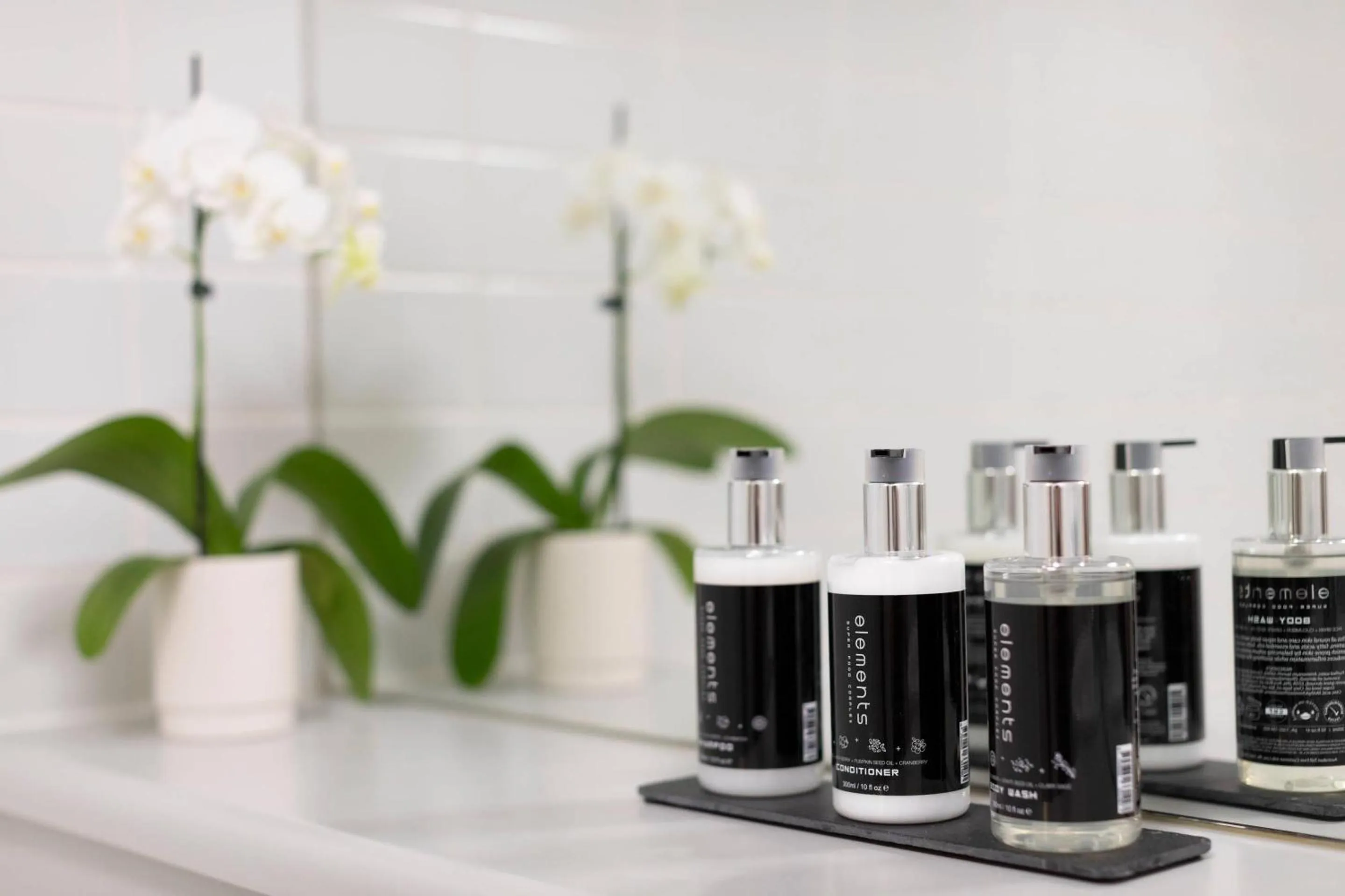 Bedroom in MainStay Suites Williamstown