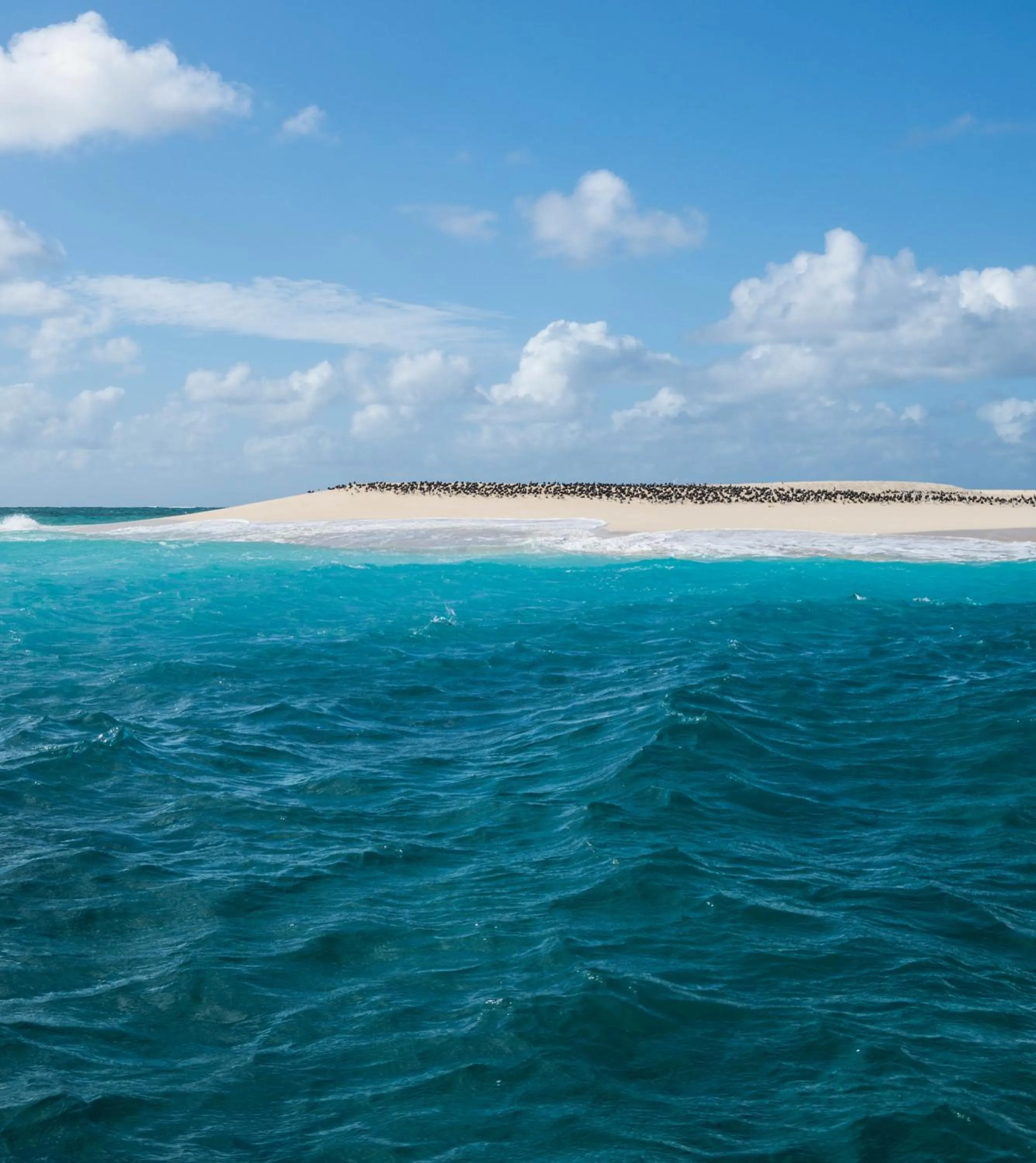 Off site in Hotel Maharajah