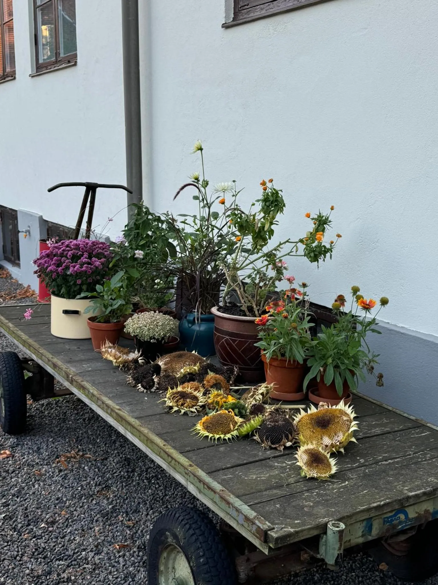 STF Landskrona Hostel