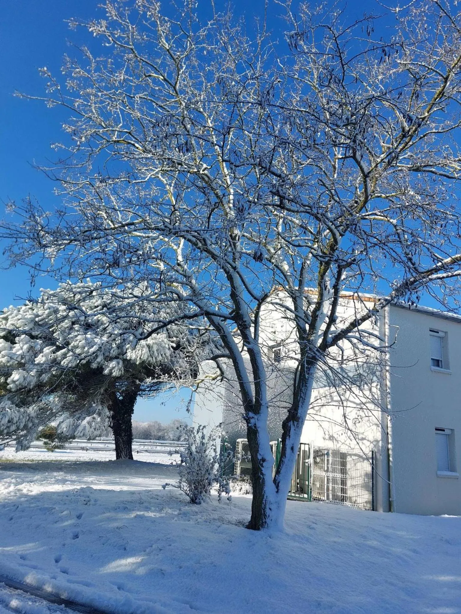 Garden in Logis Hôtel L'Air Marin