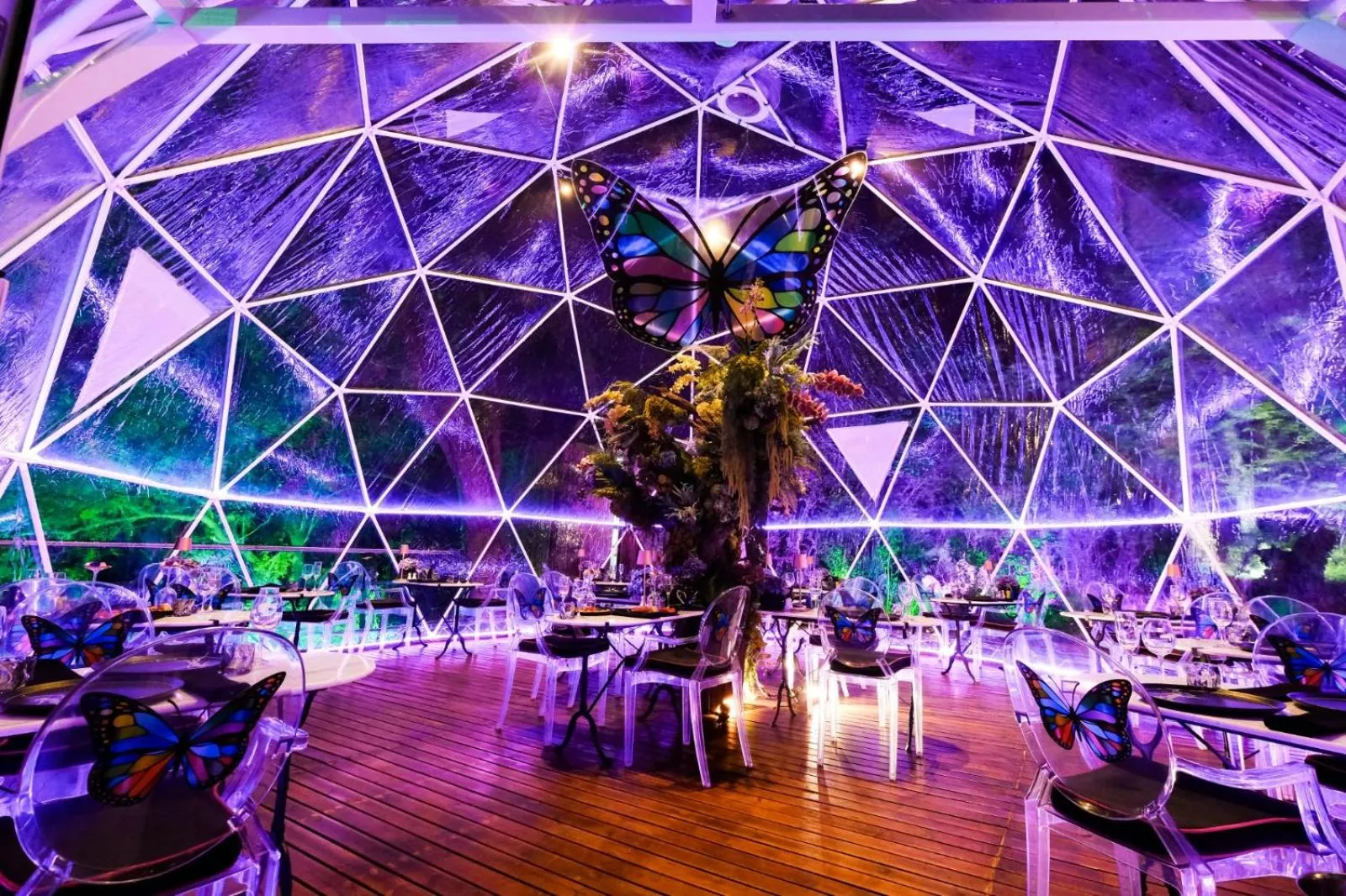 Restaurant/places to eat in Forum Homini Boutique Hotel