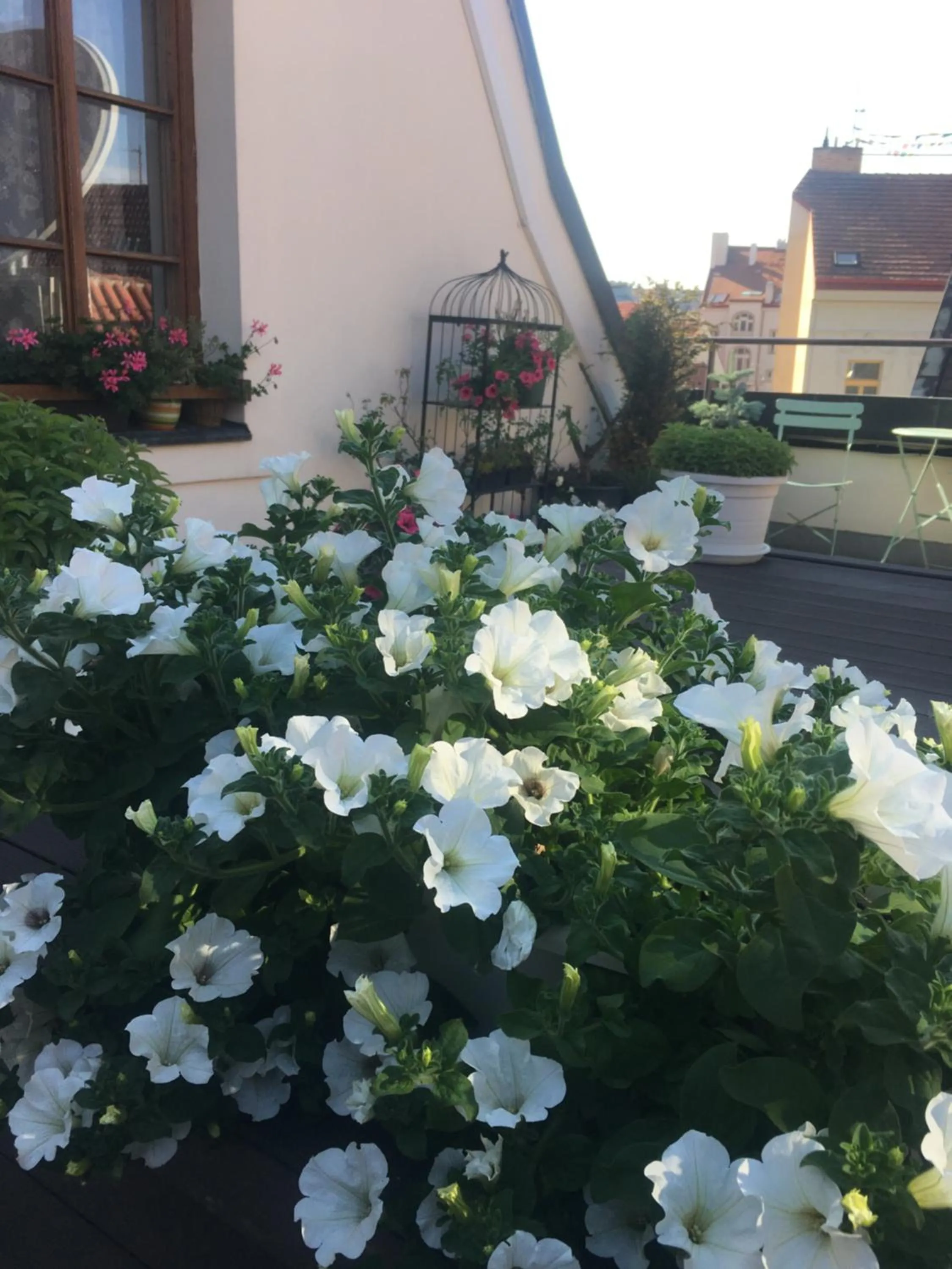 Inner courtyard view in Old Town Boutique Apartments