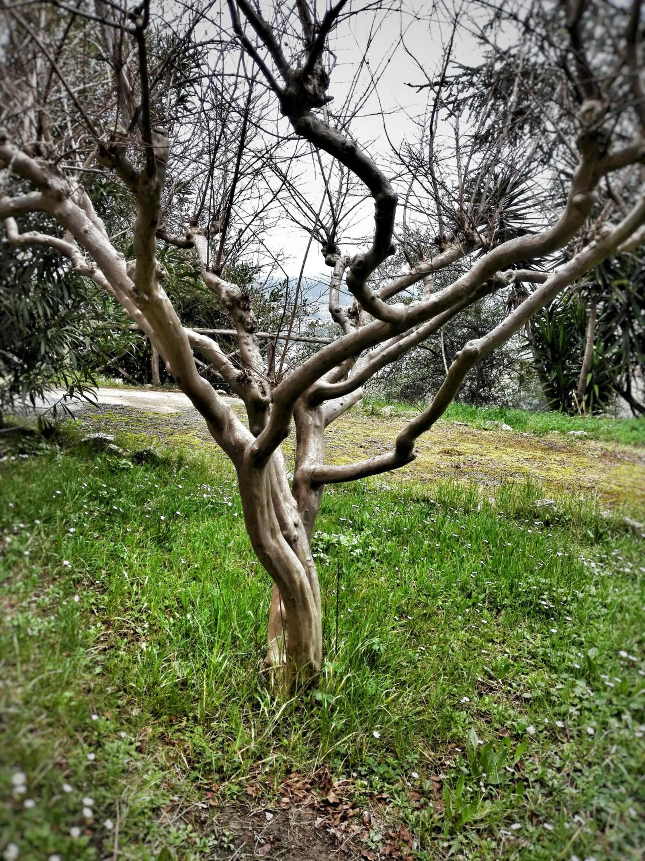 Natural landscape in MeraVilla