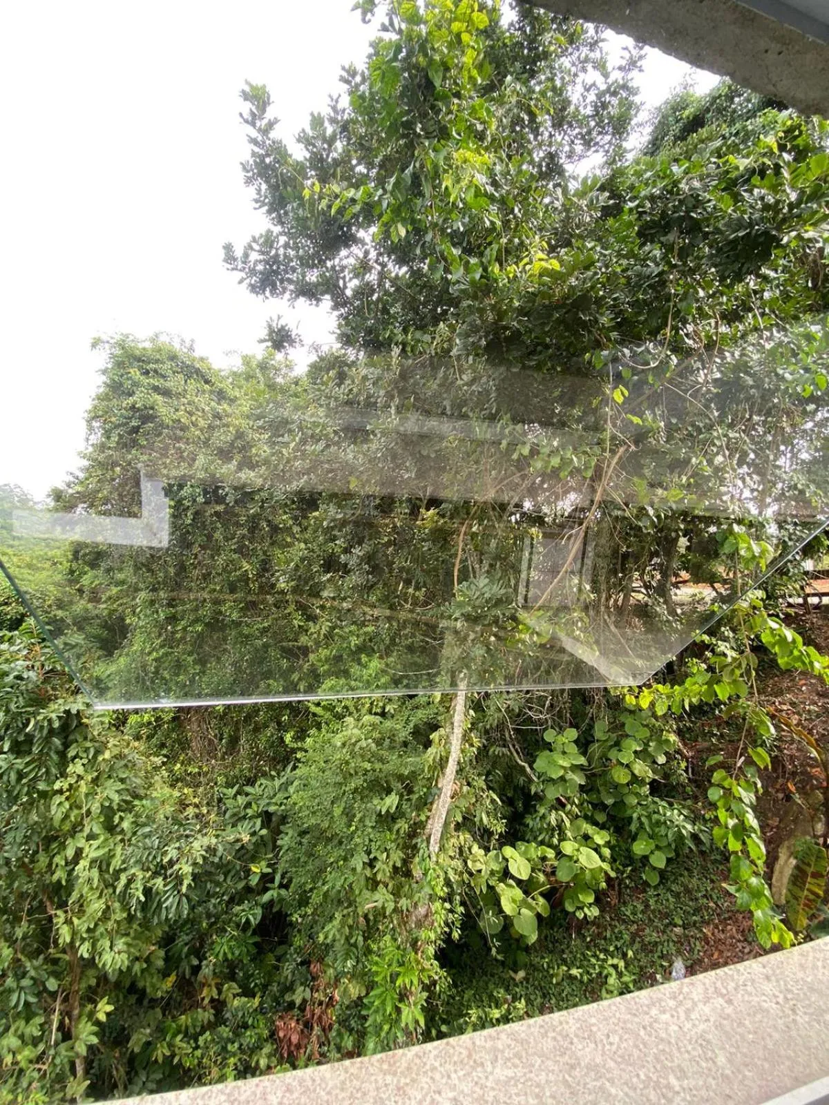 Natural landscape in Bombinhas Guest House