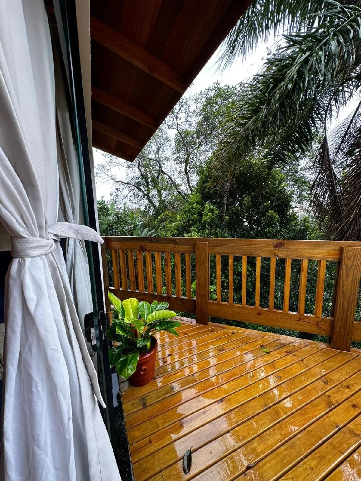 Garden view in Bombinhas Guest House