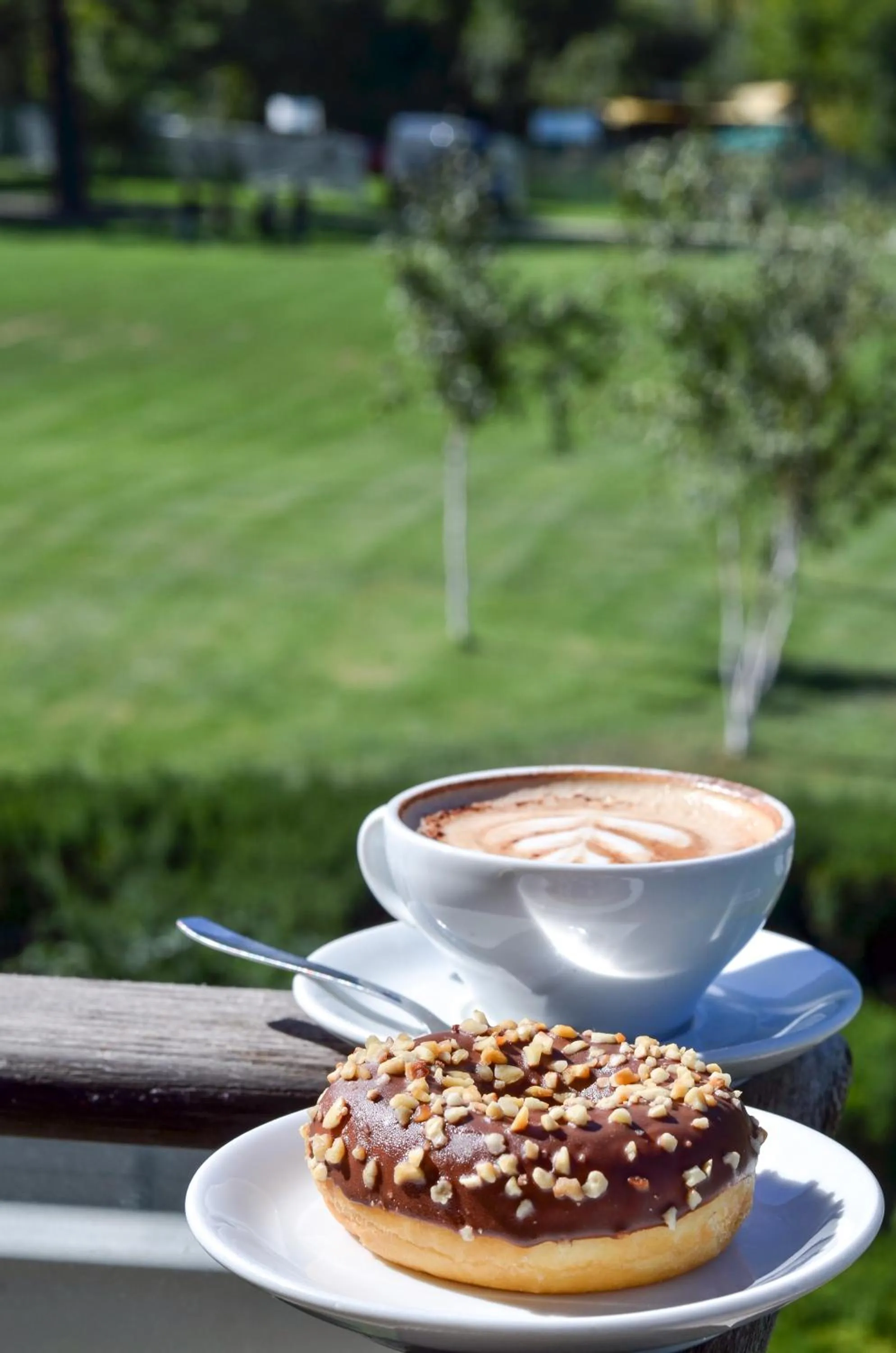 Garden in Komodo short stay apartments