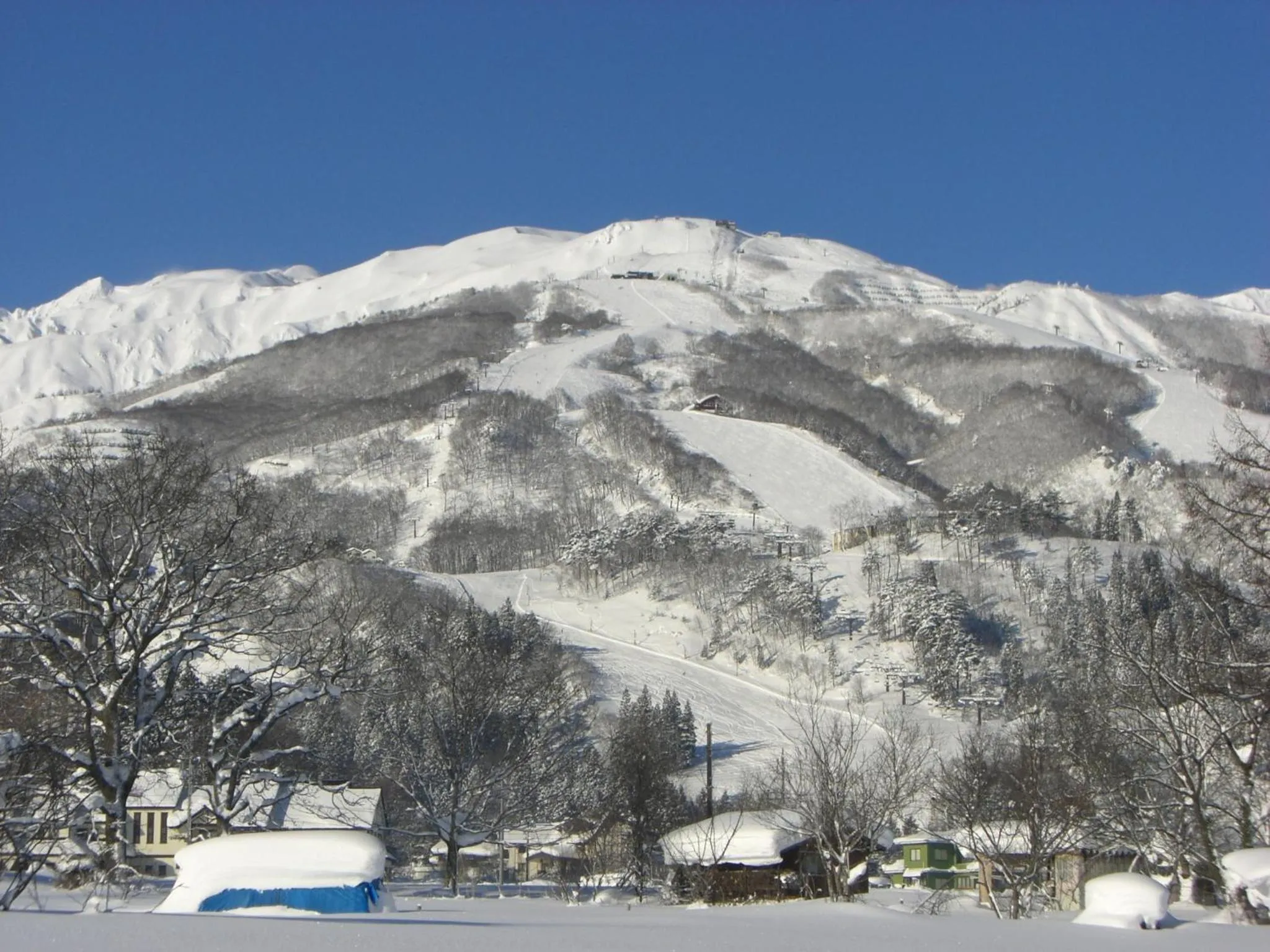 View (from property/room) in Nagomi-tei