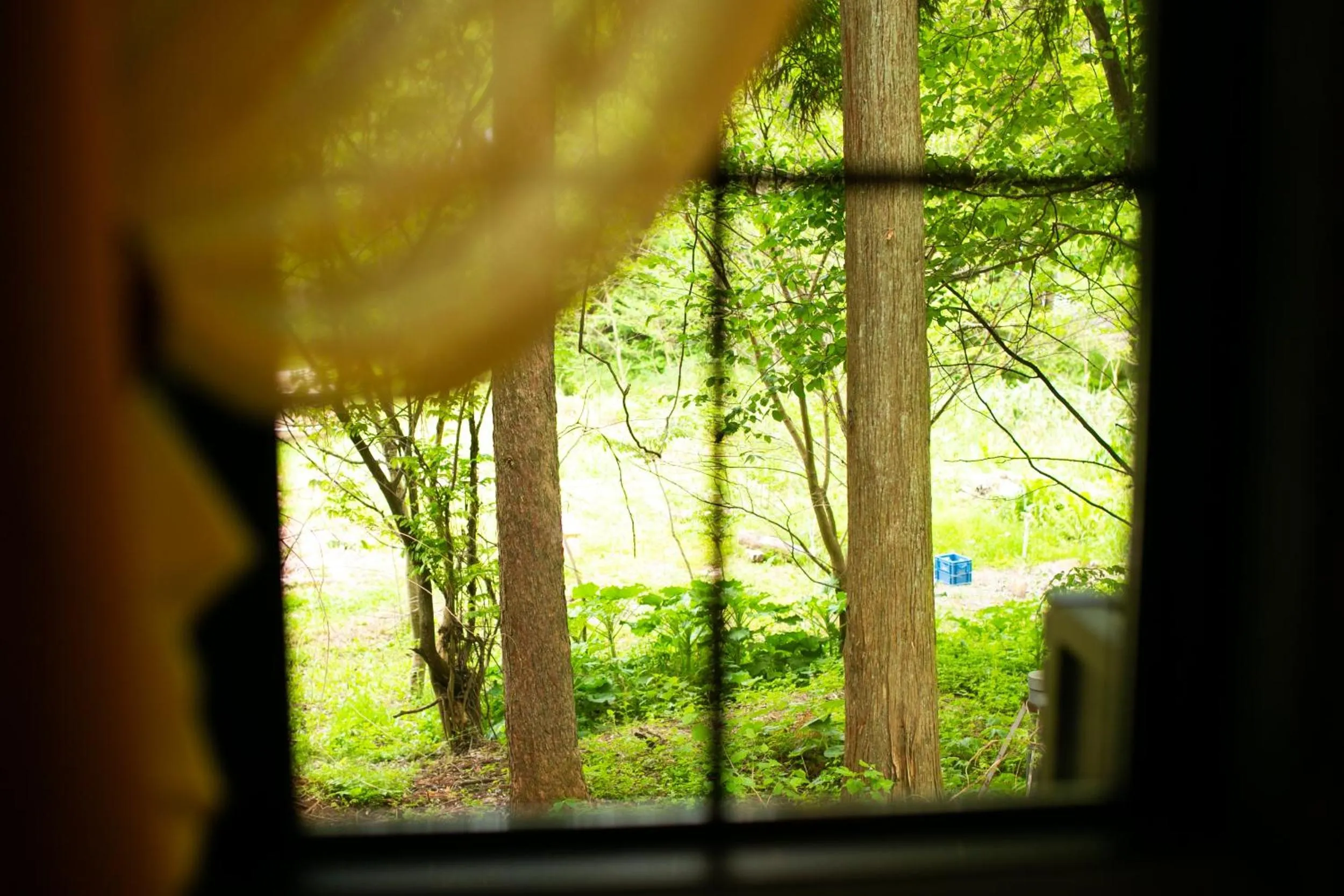 Day in Restaurant & Hotel Traumerei