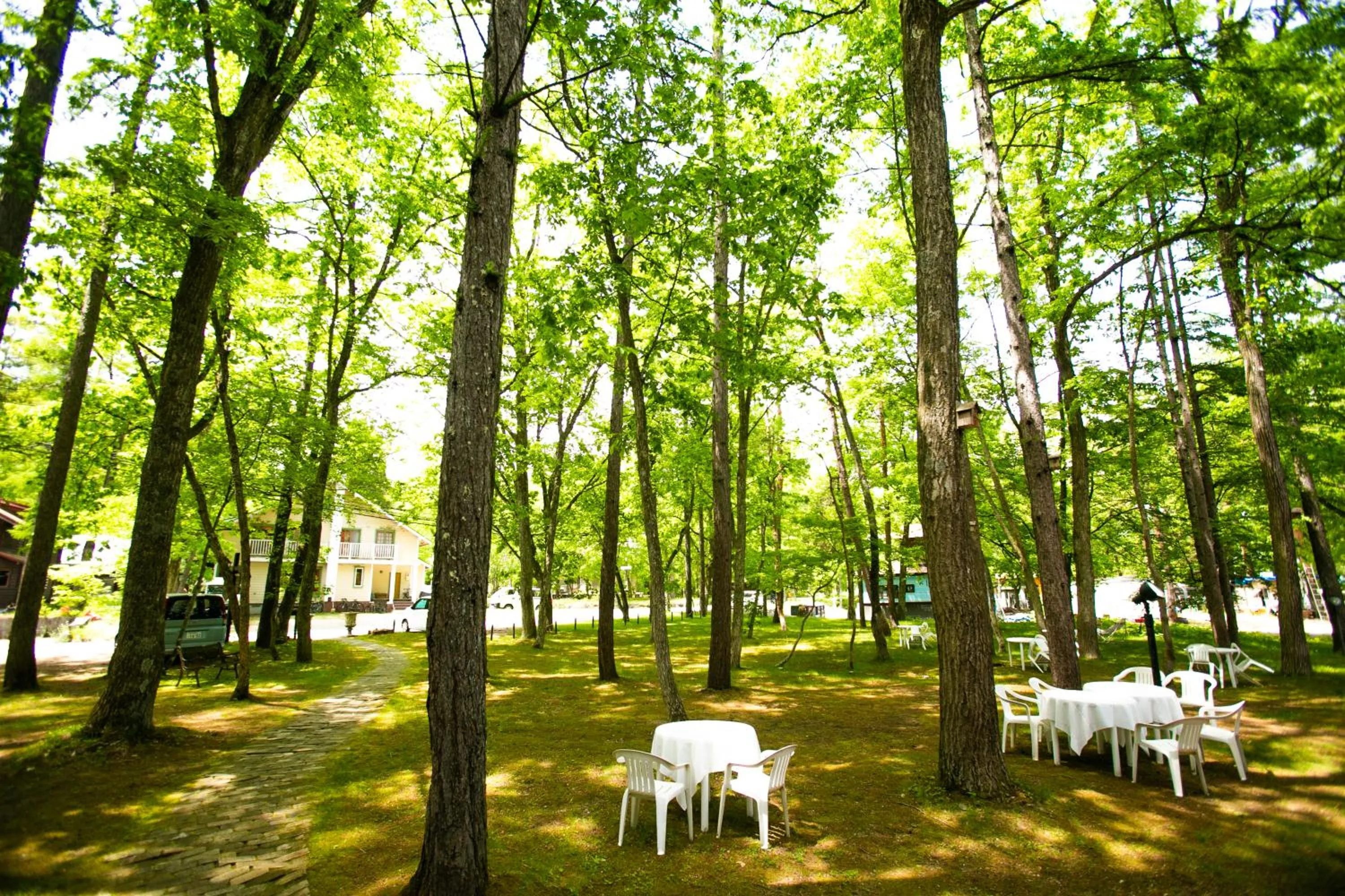 Day in Restaurant & Hotel Traumerei