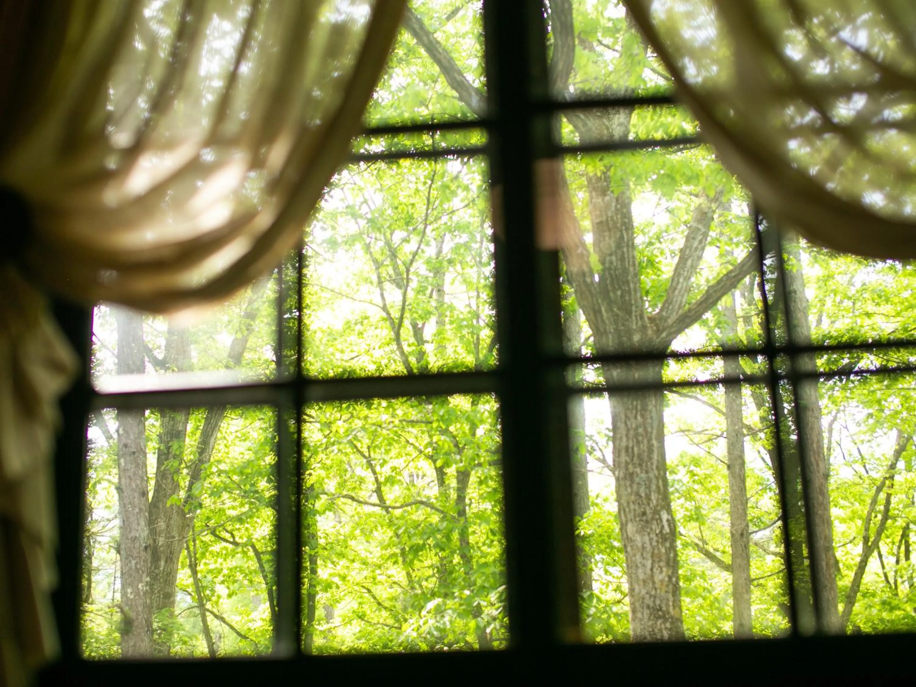 Day in Restaurant & Hotel Traumerei