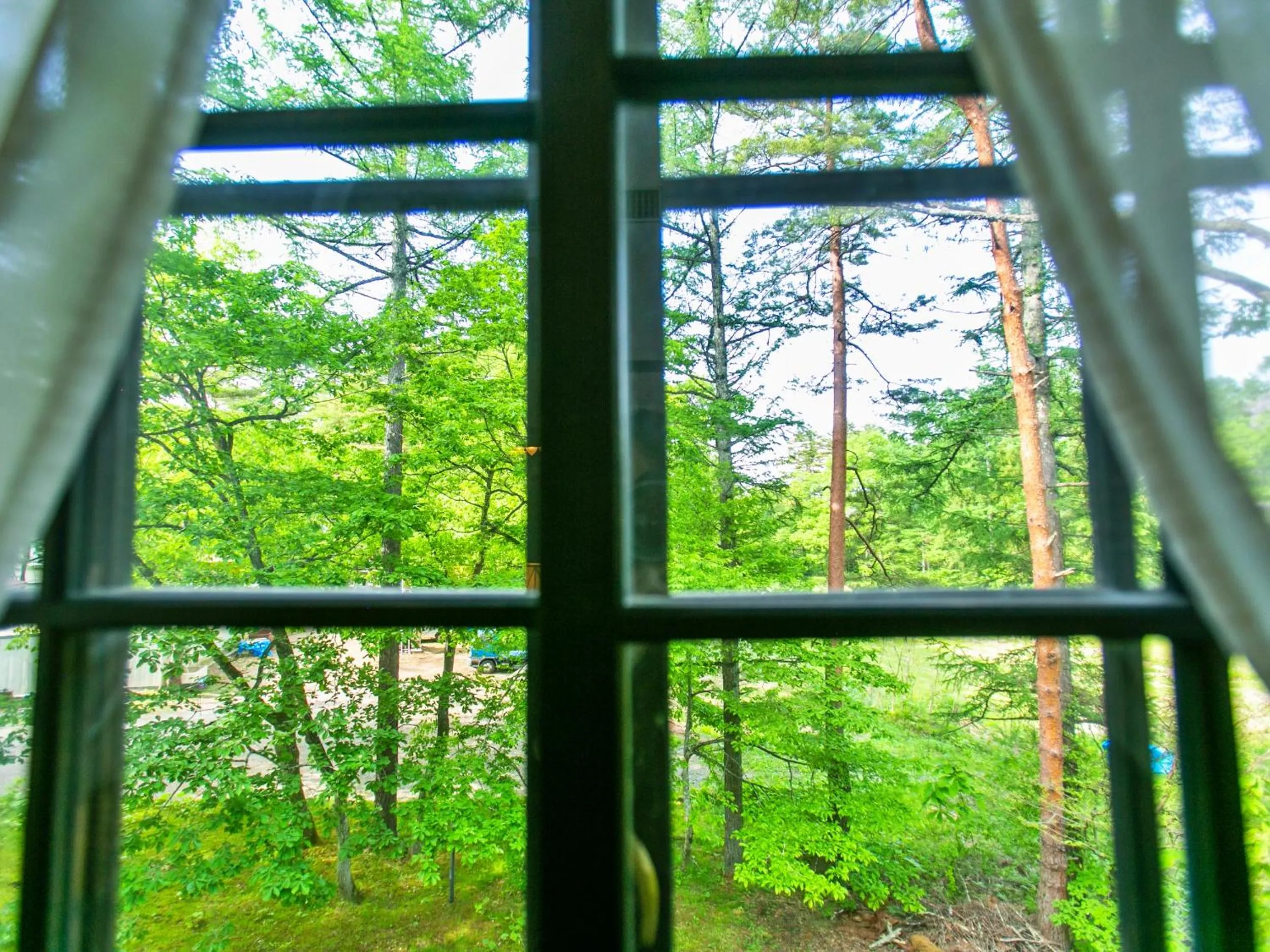 Day in Restaurant & Hotel Traumerei