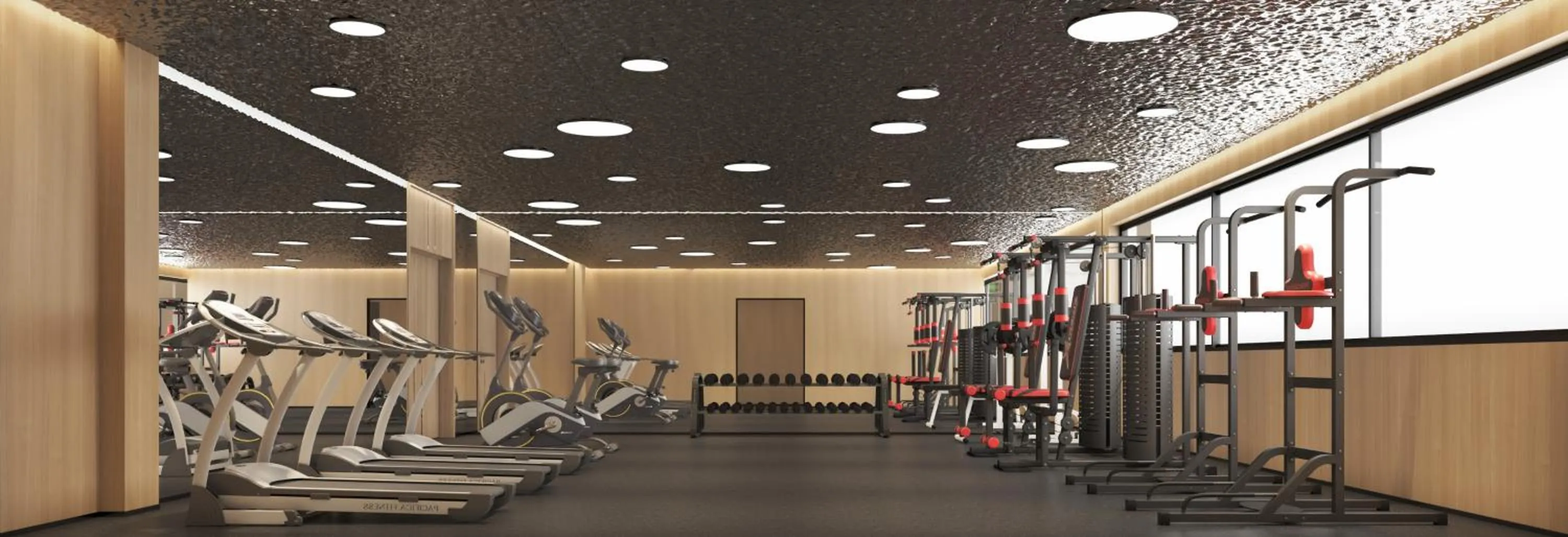 Fitness centre/facilities in Liberty S Hotel