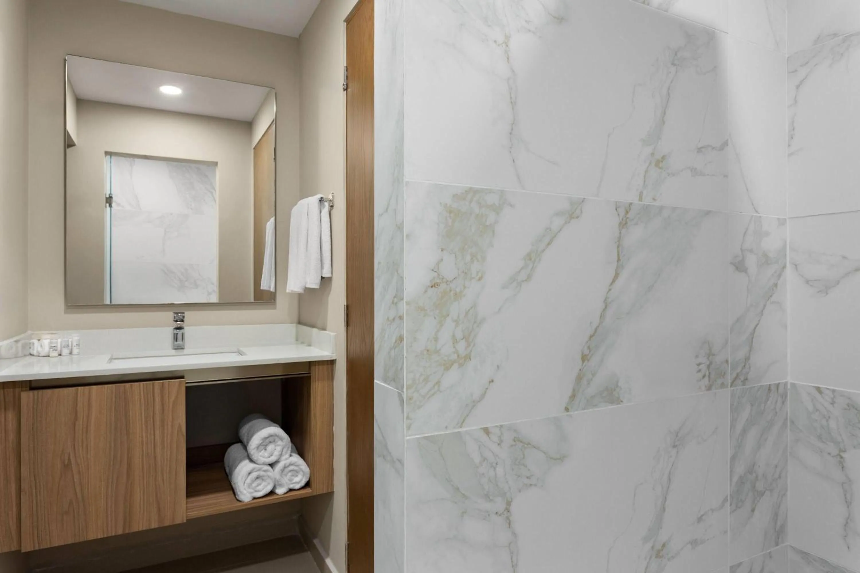 Toilet in Wyndham Garden Mazatlan Marina