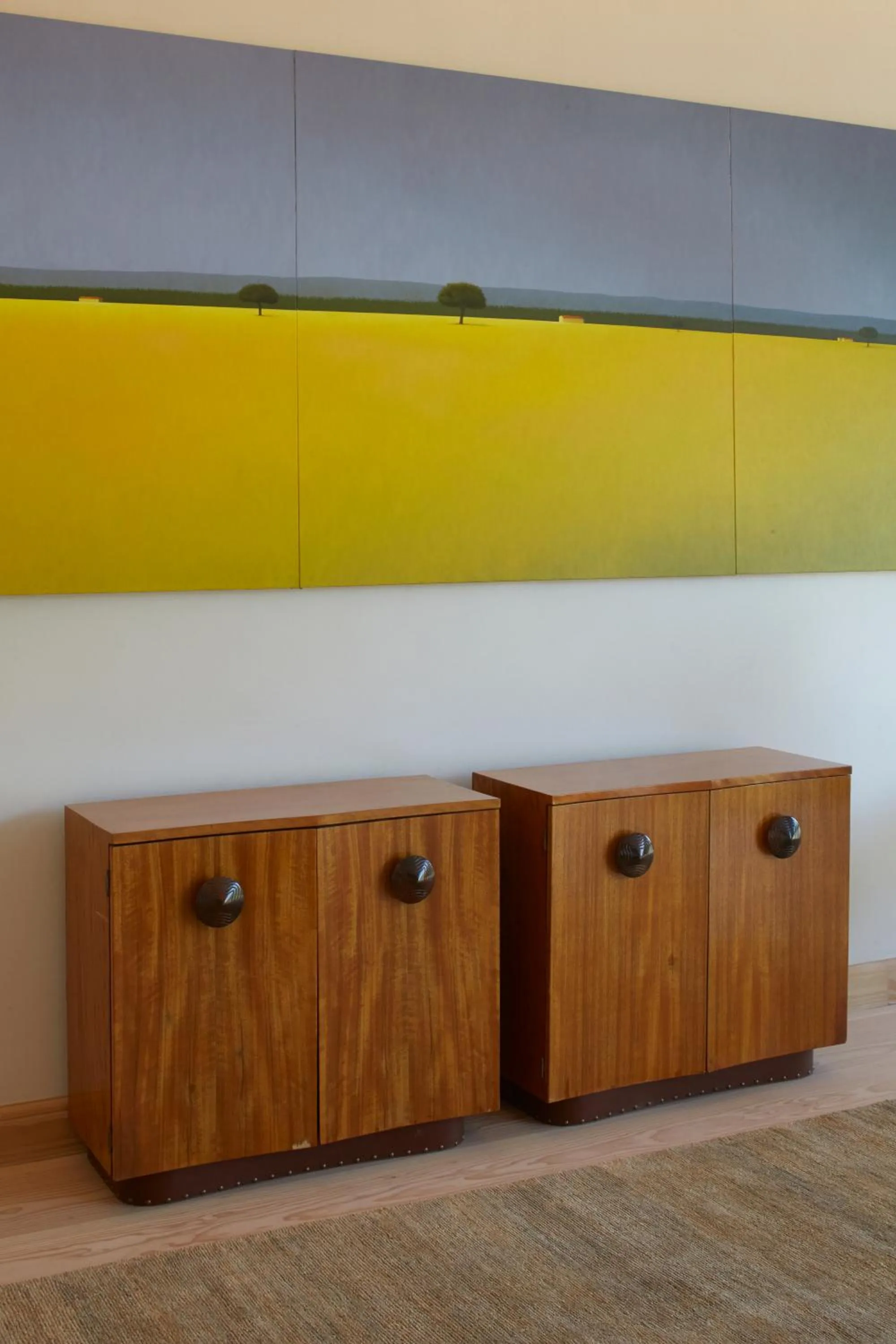 wardrobe in Vik Chile