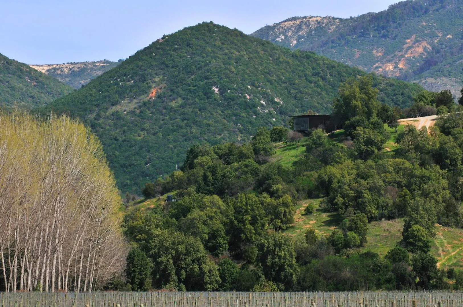 Natural landscape in Vik Chile