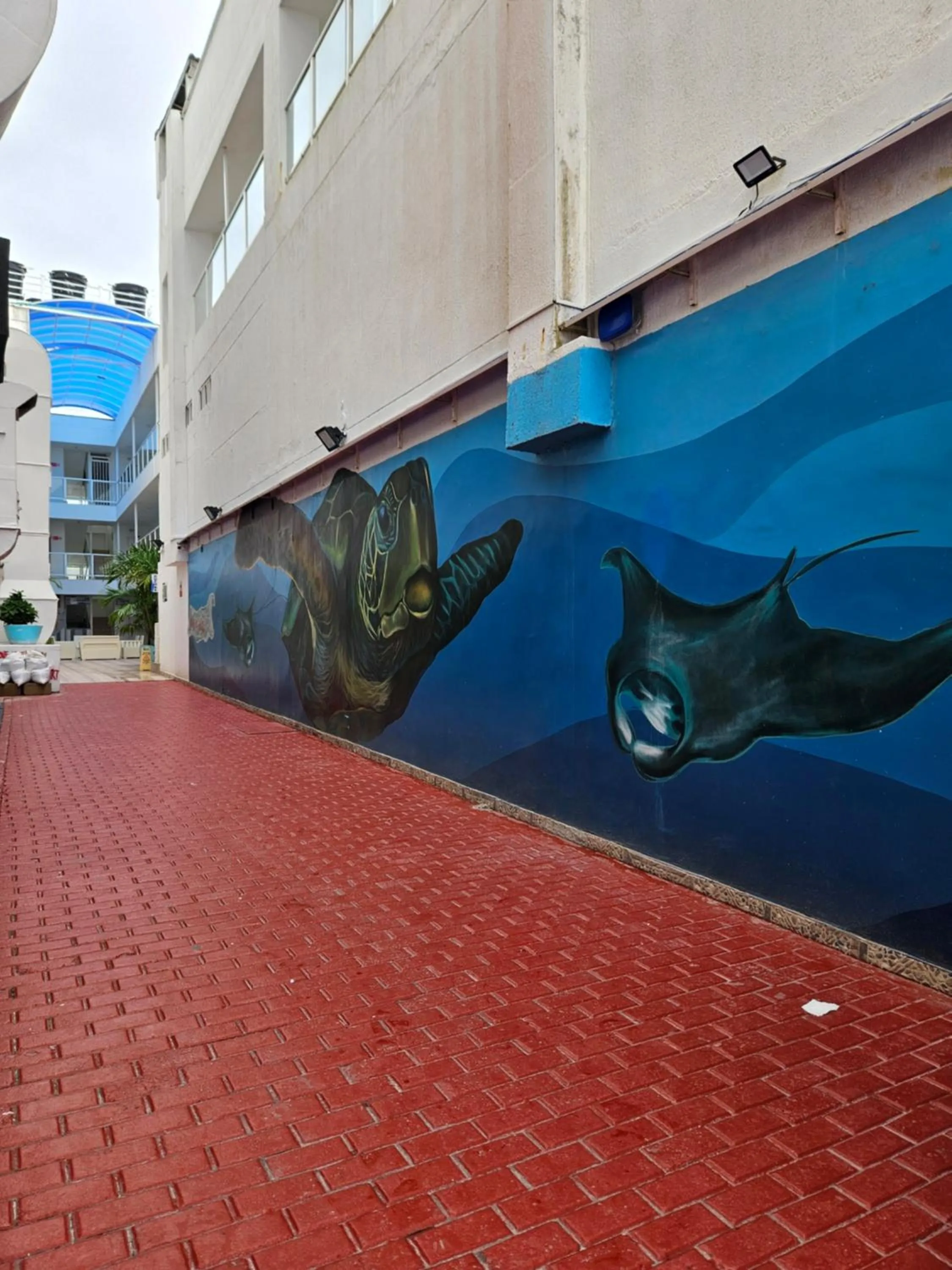 Property building in Caribbean Island Hotel Piso 2