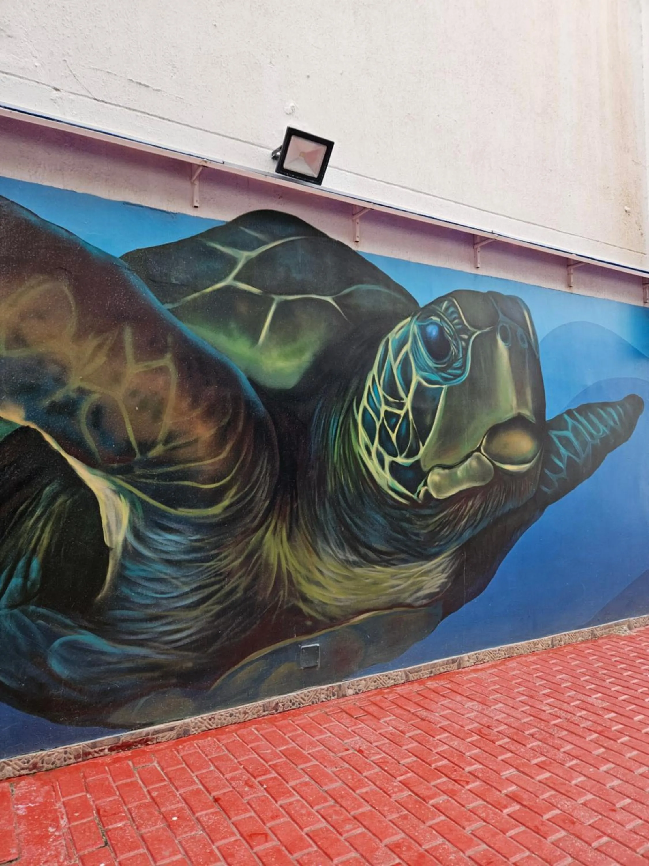 Decorative detail in Caribbean Island Hotel Piso 2