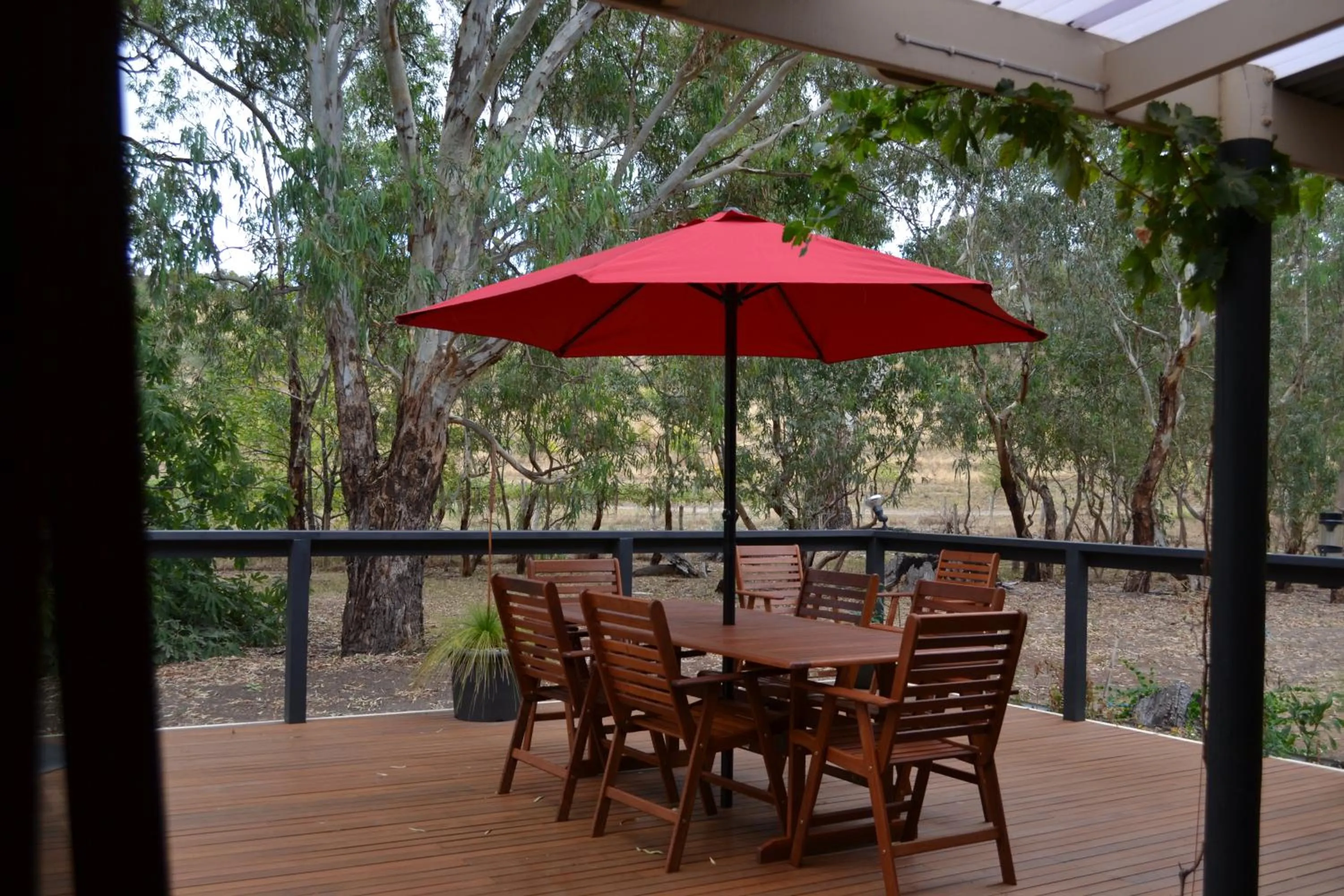 Friends at McLaren Vale