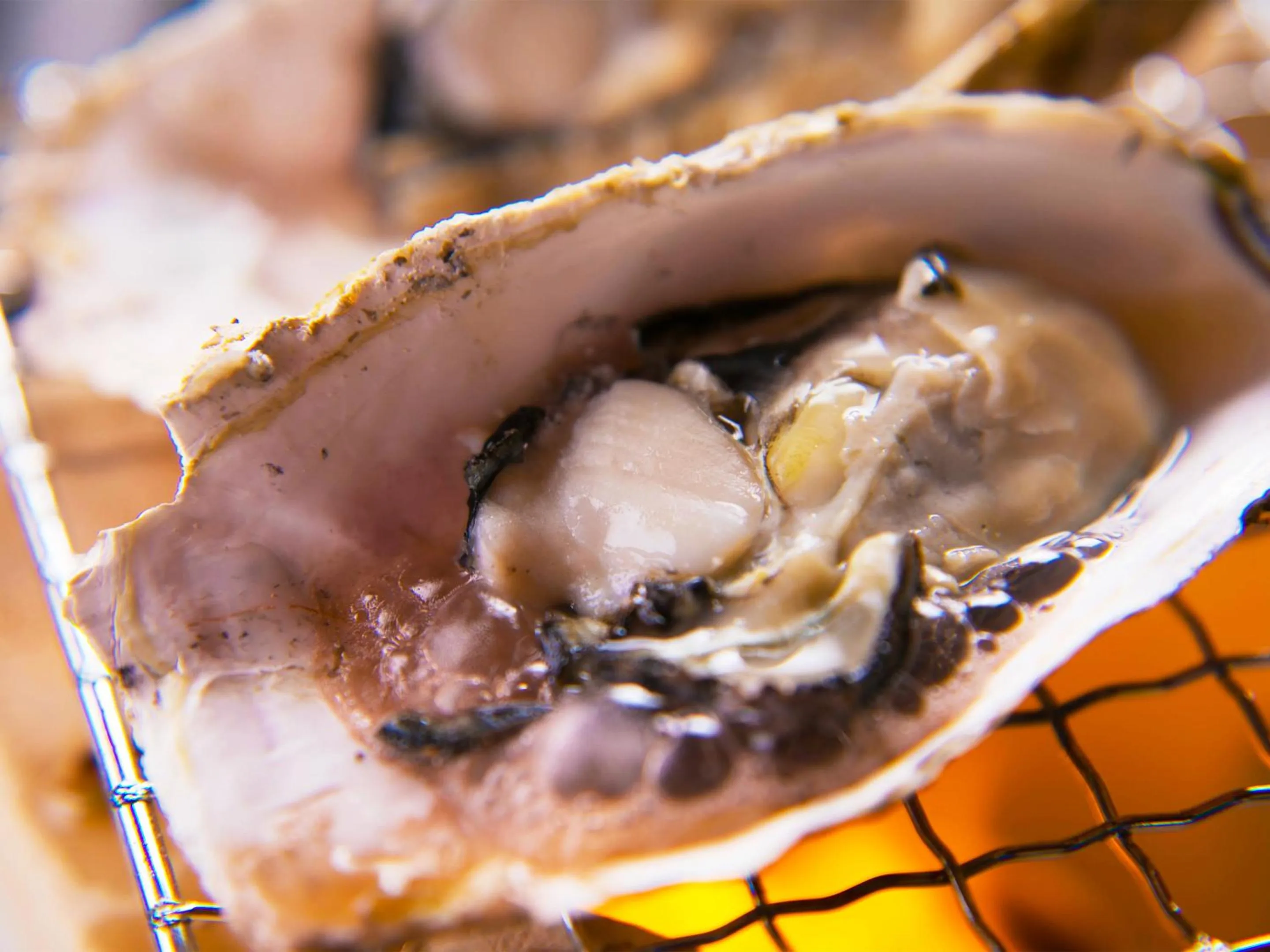 Food close-up in Iki Stellacote Taiankaku