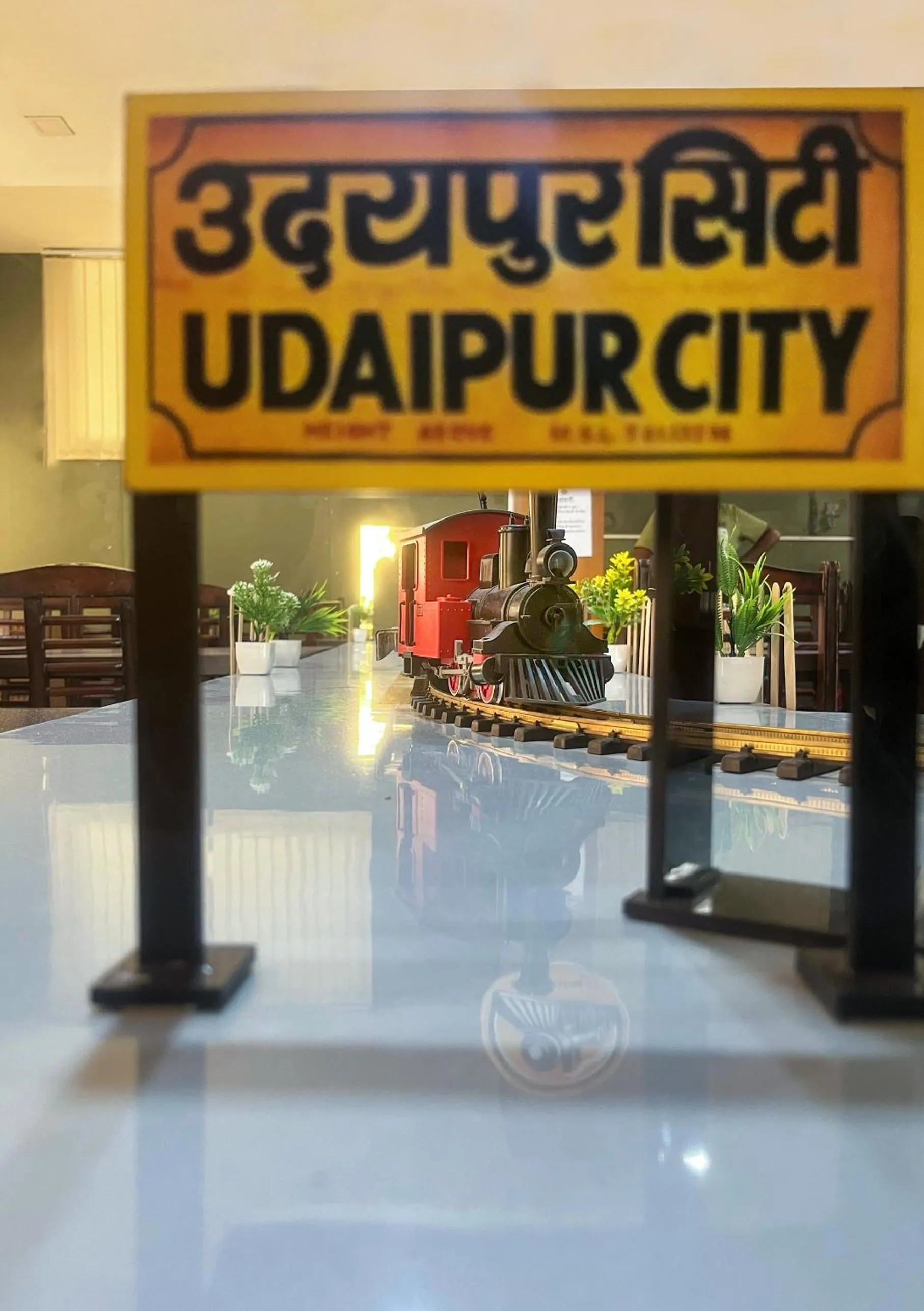 Restaurant/places to eat in Narayans Leela Inn