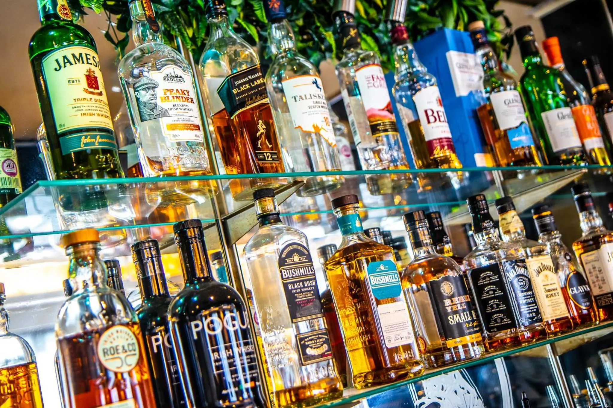 Lounge or bar in Adelphi Hotel