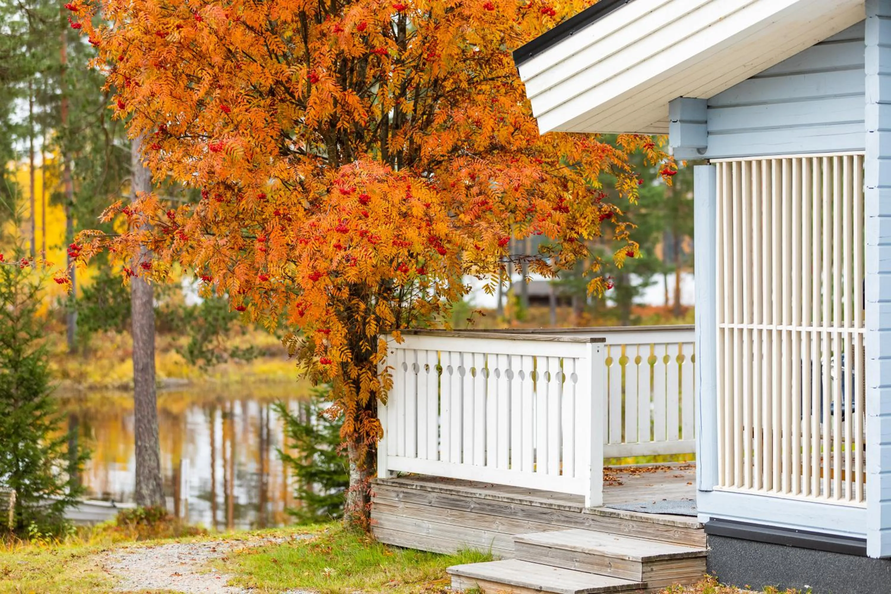 Balcony/Terrace in Lossisaari Tourist Center