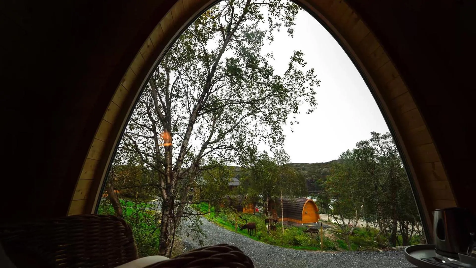 Natural landscape in Snow Resort Kirkenes