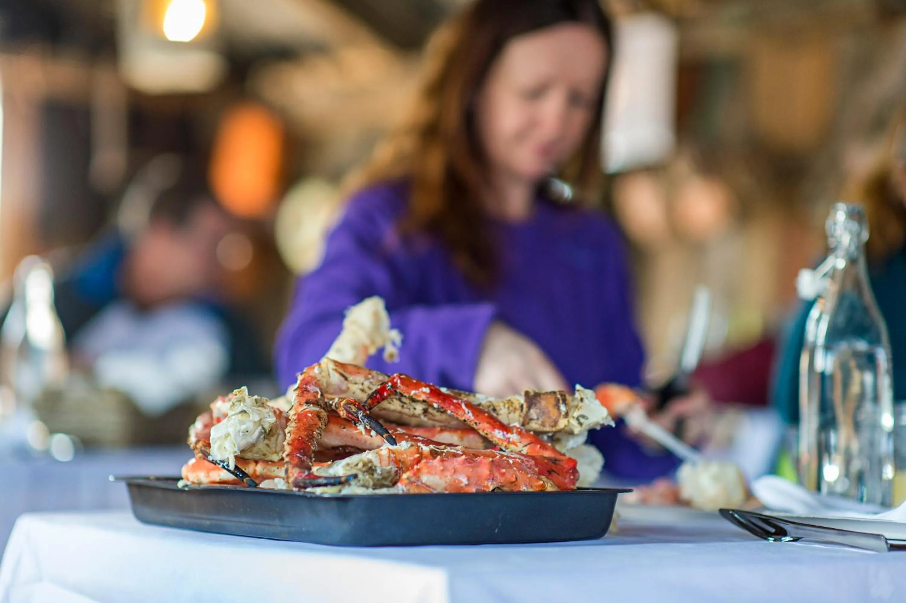 Activities in Snow Resort Kirkenes