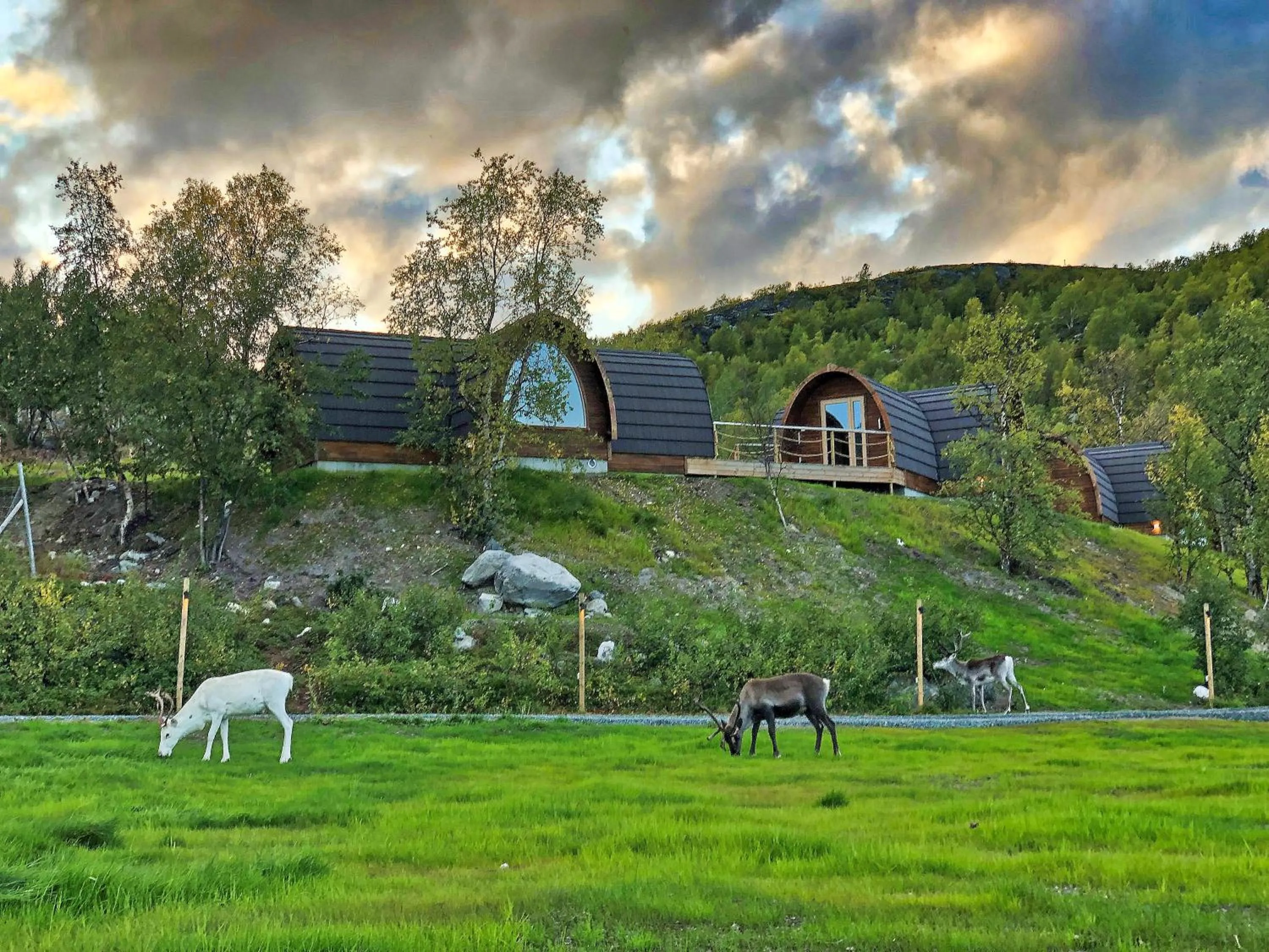 View (from property/room) in Snow Resort Kirkenes