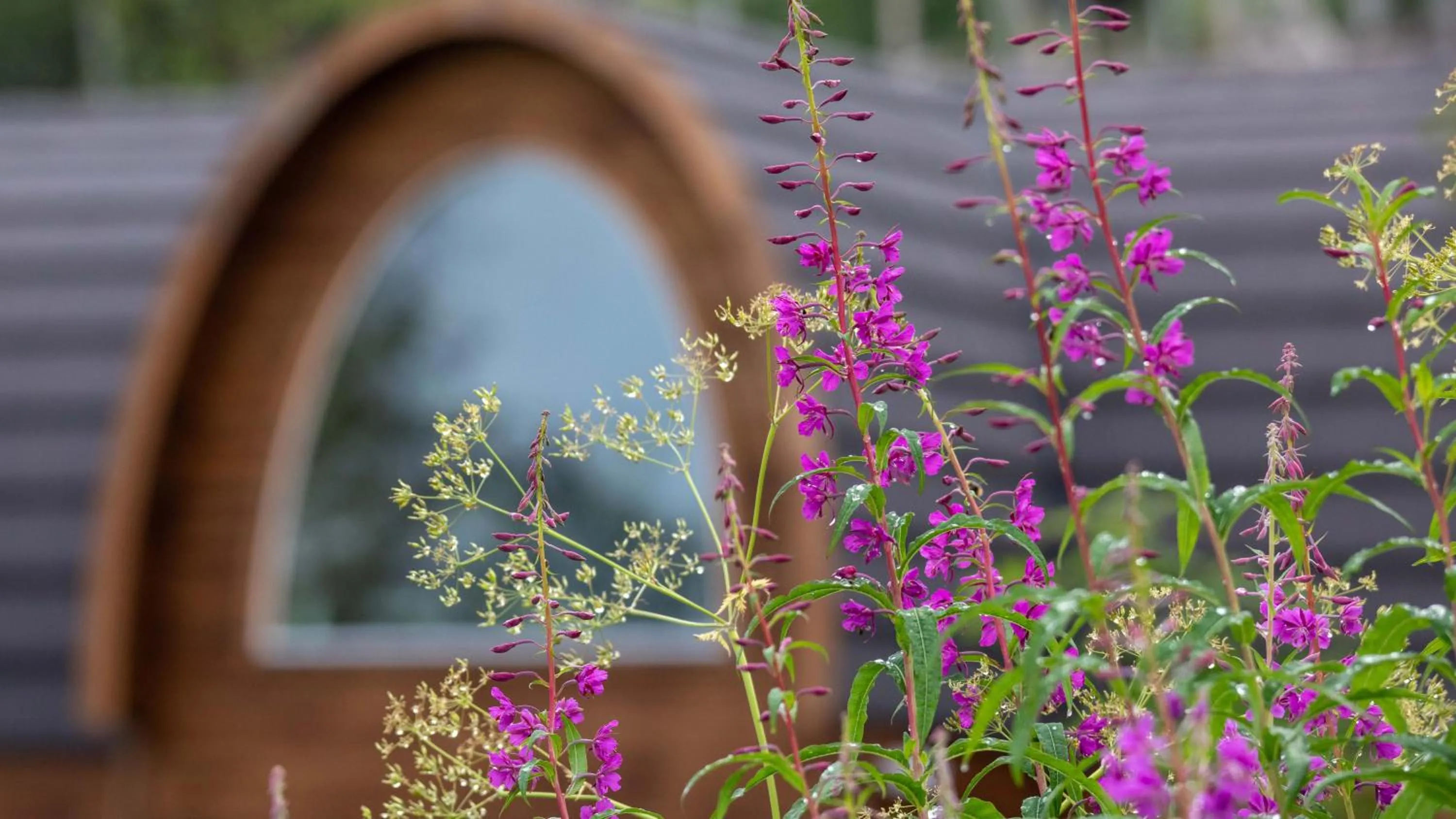 Garden view in Snow Resort Kirkenes